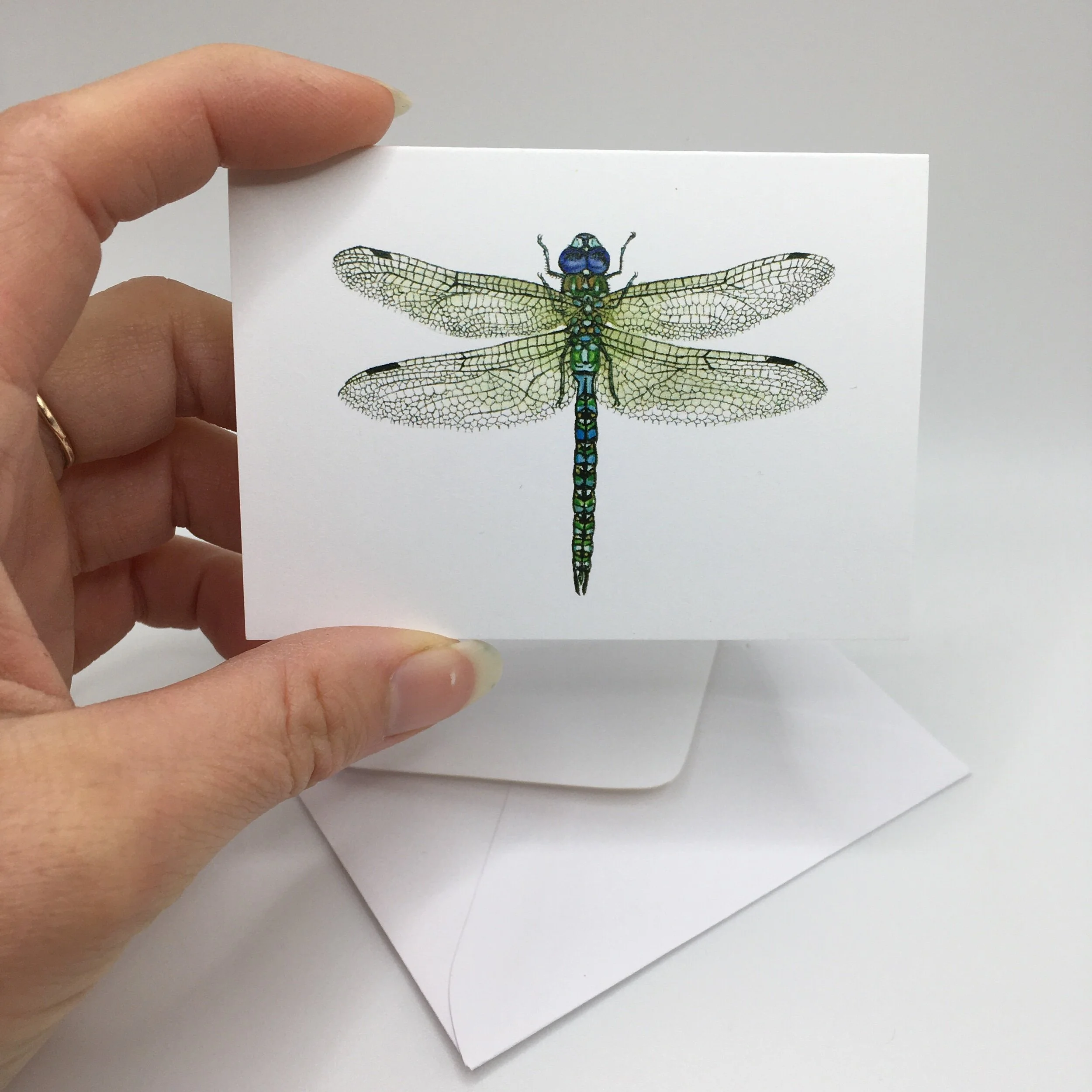 B4EDD01D-7BC9-4BC5-BF6F-3971DAE7A9A2