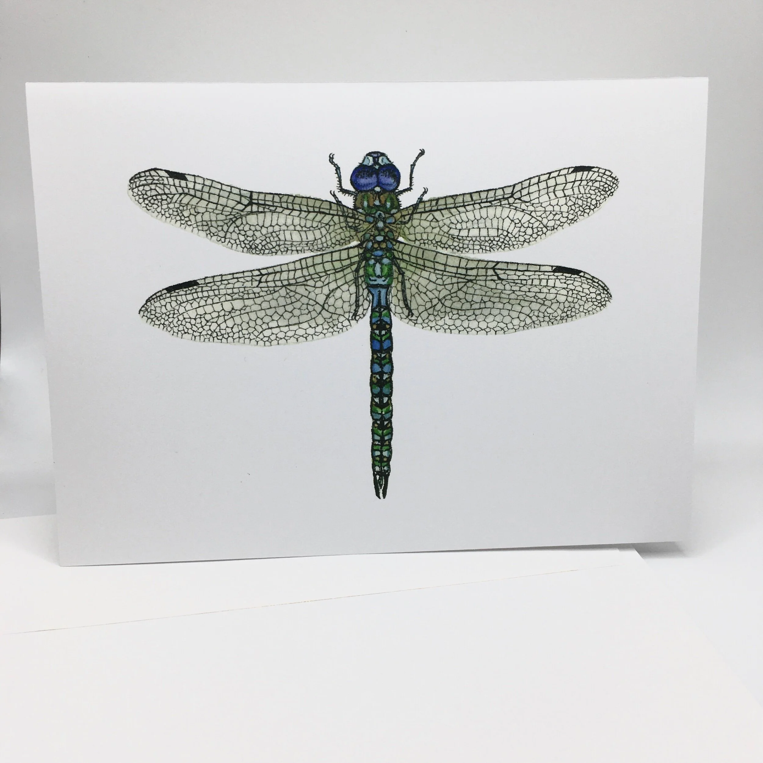 387CC413-4A8E-4A35-A4EB-4A1B3A2F13A5