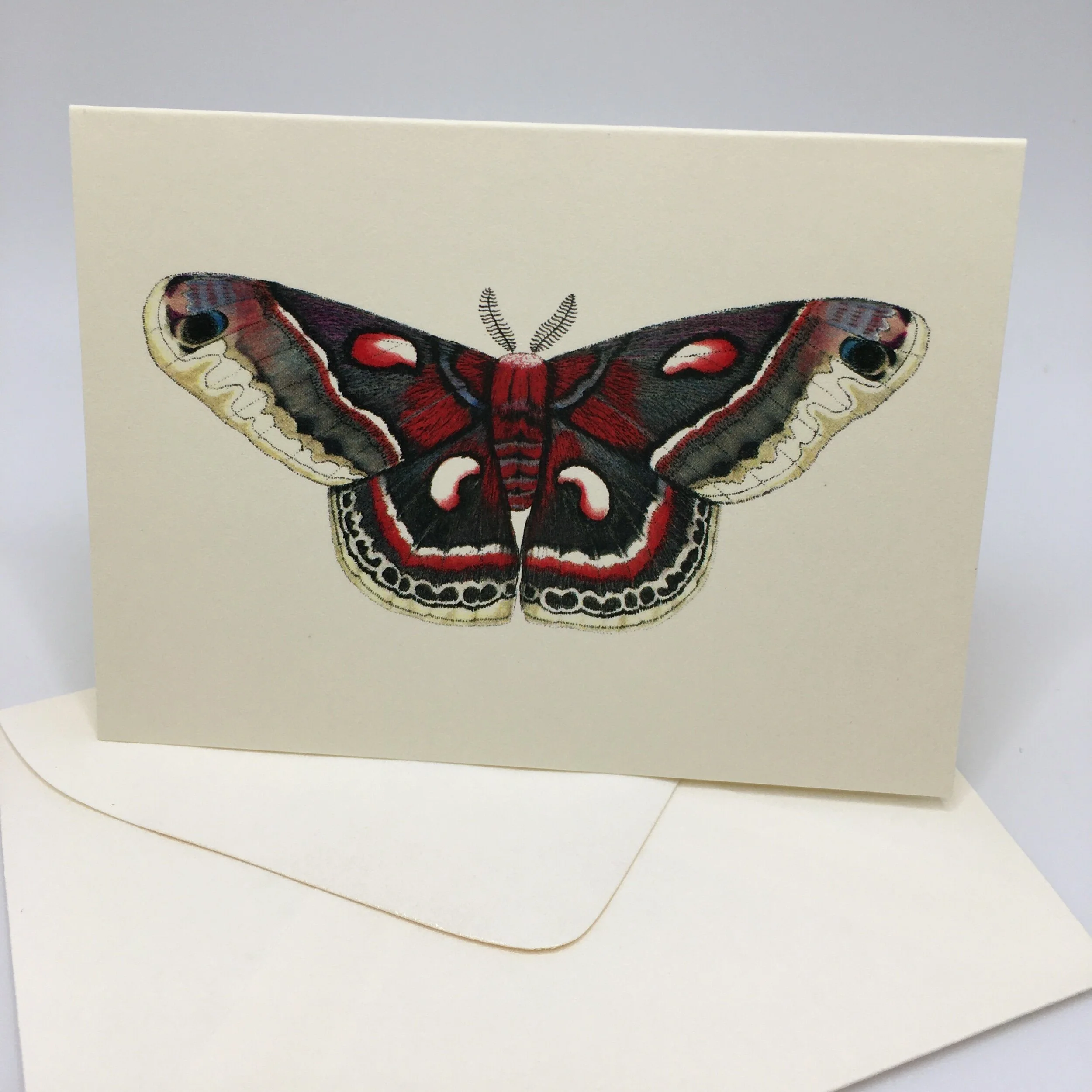 2625BE02-069B-4702-A8F7-591C749092E6