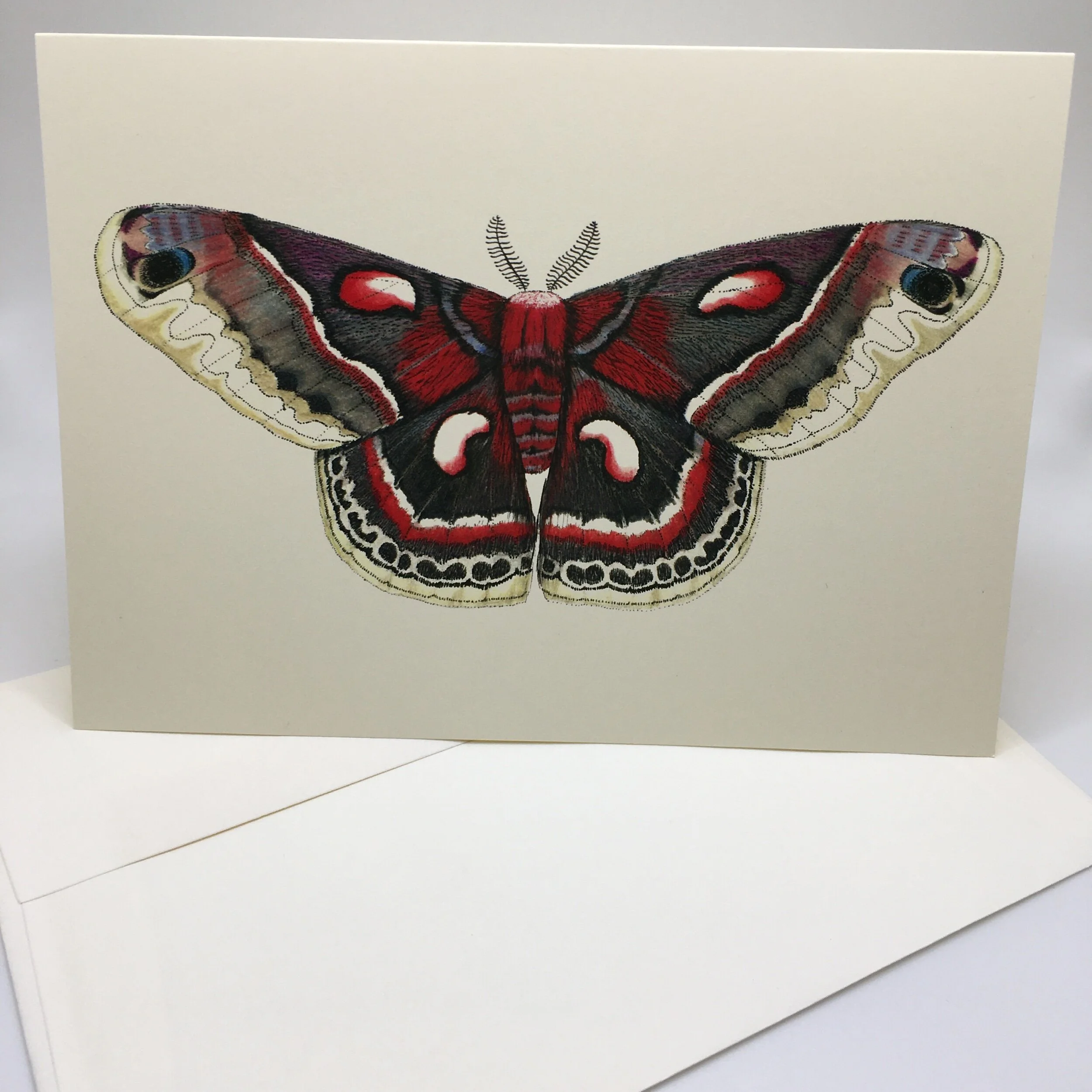 DD9F5774-0A3C-417A-9DE1-EB79CD884086