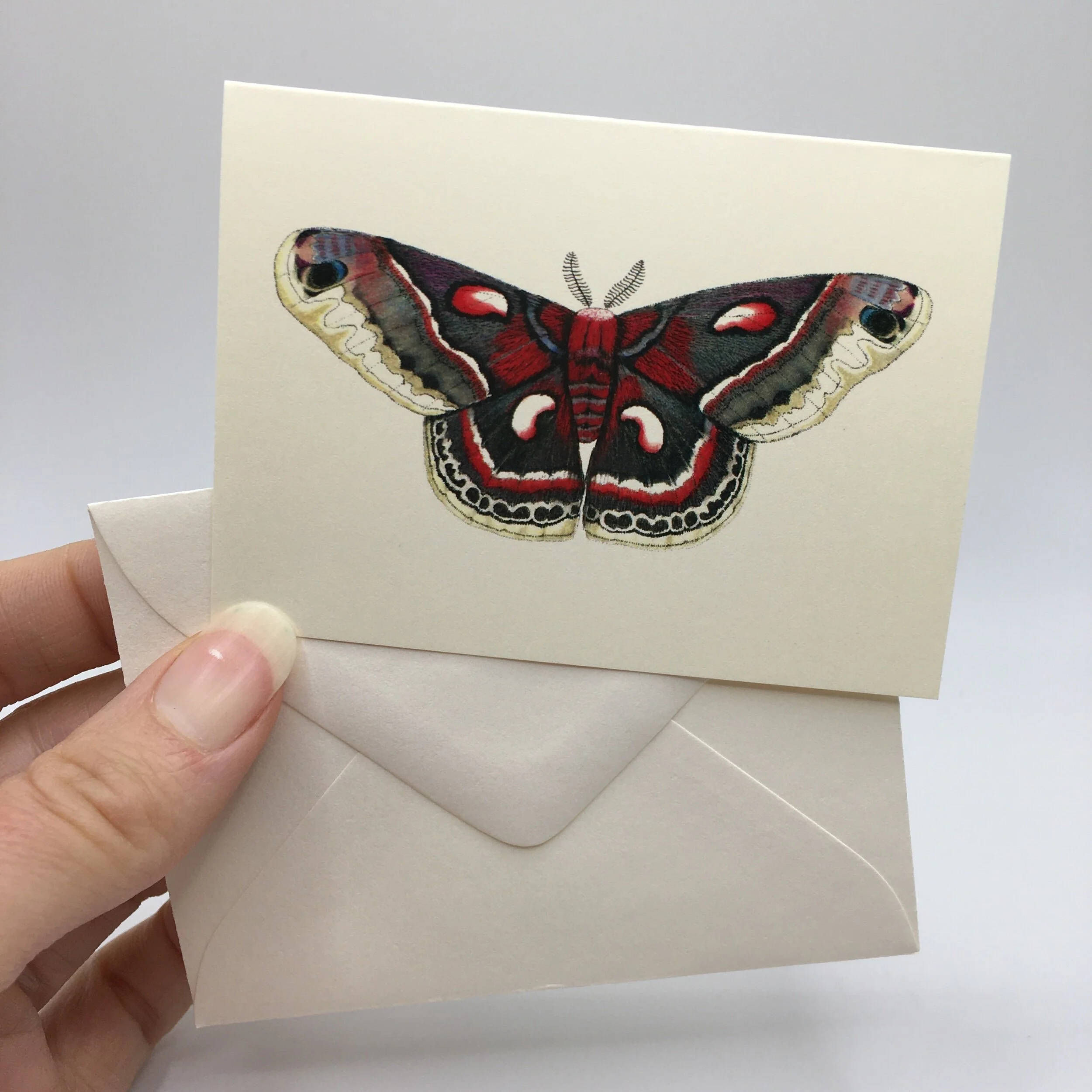 D395F733-C819-4D1A-837F-E9467459D5F2