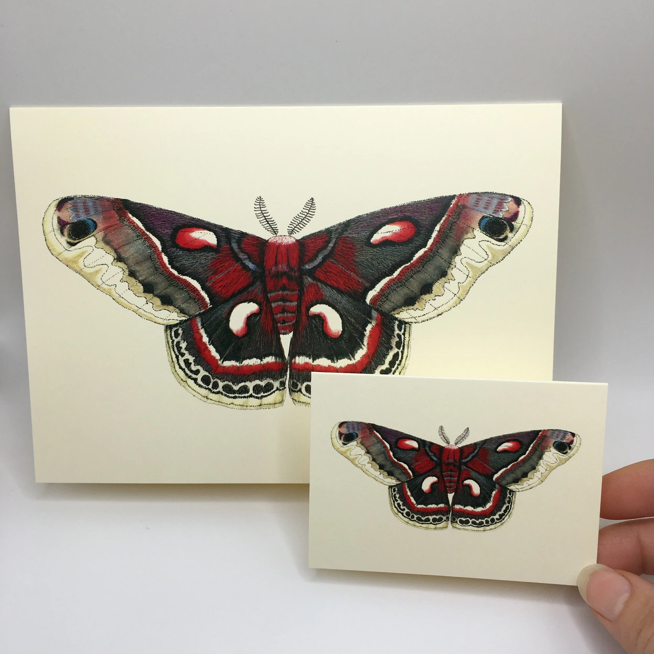 D485C739-96B8-412D-ADD2-DB892C0AA9CE