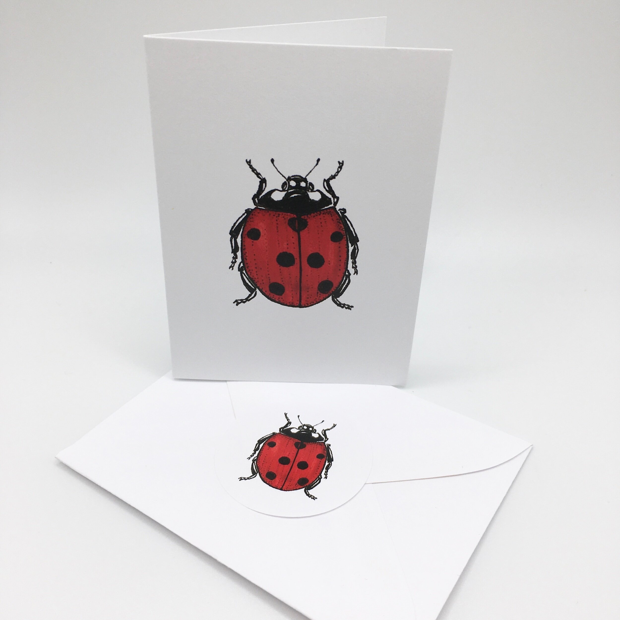 A153D352-7B20-40BC-87BB-3B444972C957