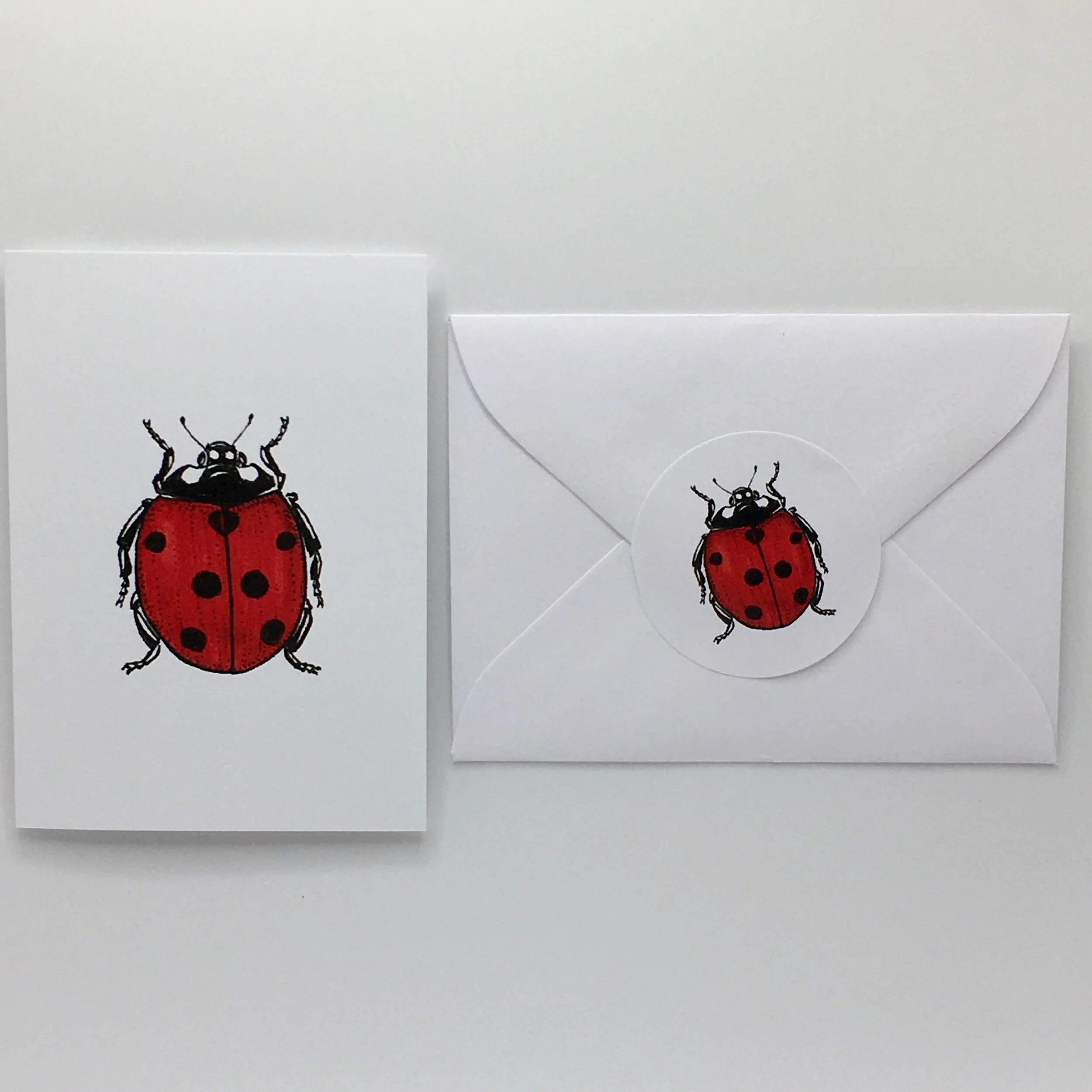 3FF53B40-5E43-4281-869D-1D2225EB176D