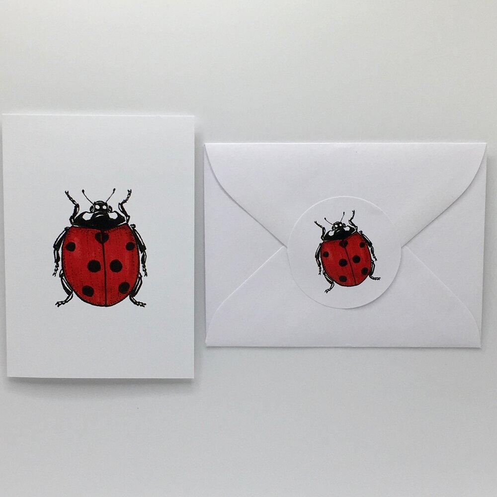 Lady Bug Mini Cards with Sticker —mini cards Bridgette Jones Nature  Prints-Bridgette Jones Nature Prints