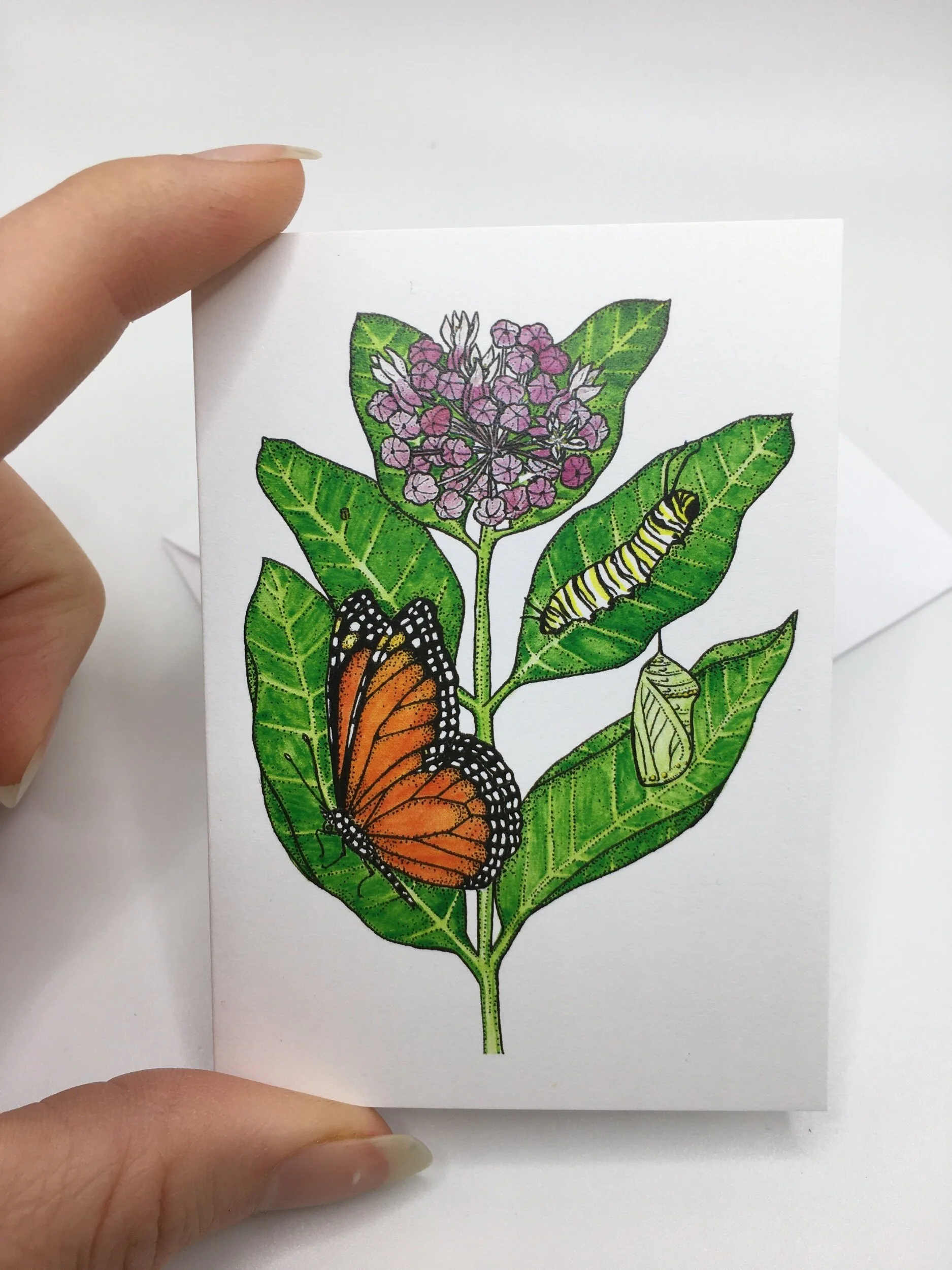 9380B571-A0B7-4C67-915E-B05B7C55099E