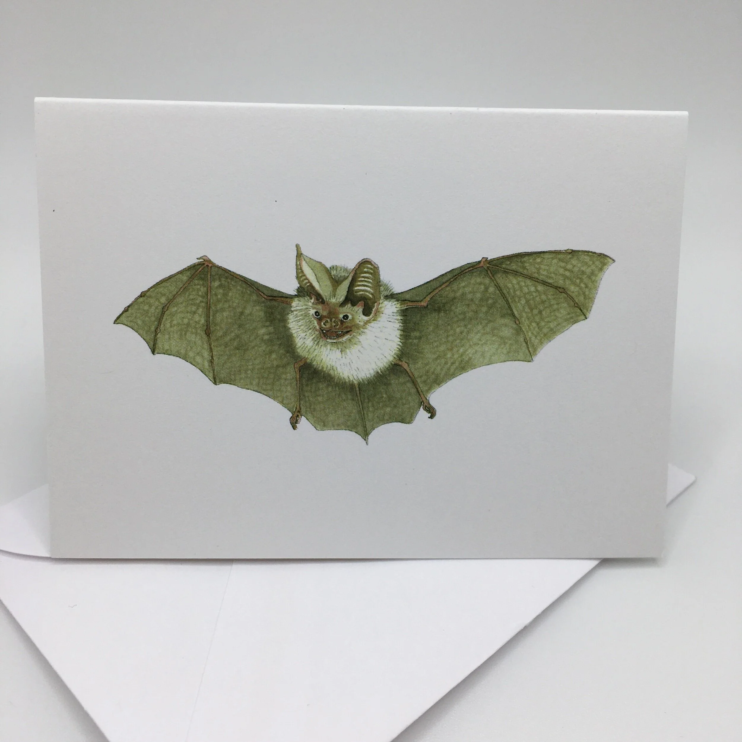 7D6DF73E-1F1E-4A4E-AAA6-8FCDABCDA47D