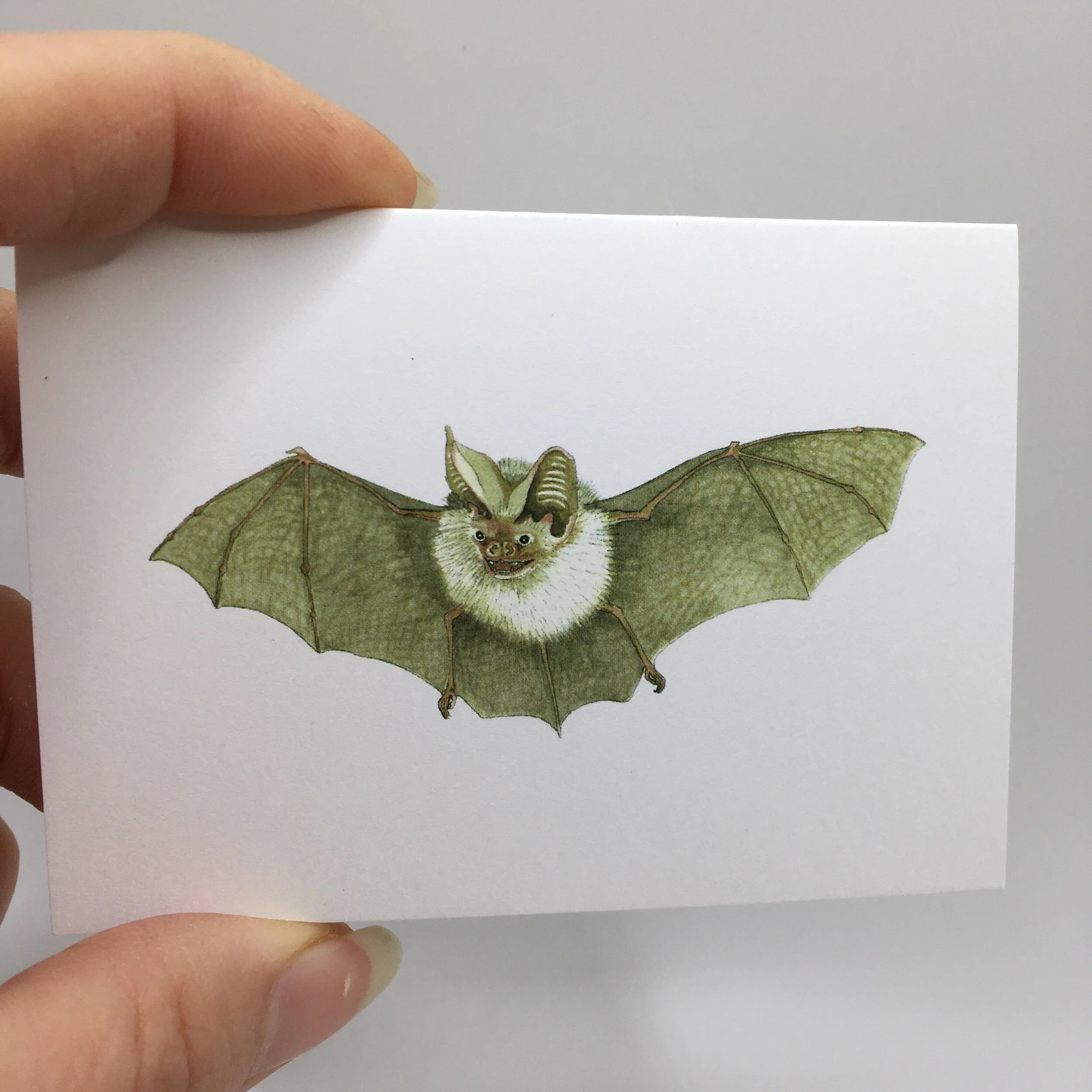 D7A8B325-749D-44B9-816D-8B408483D7B5