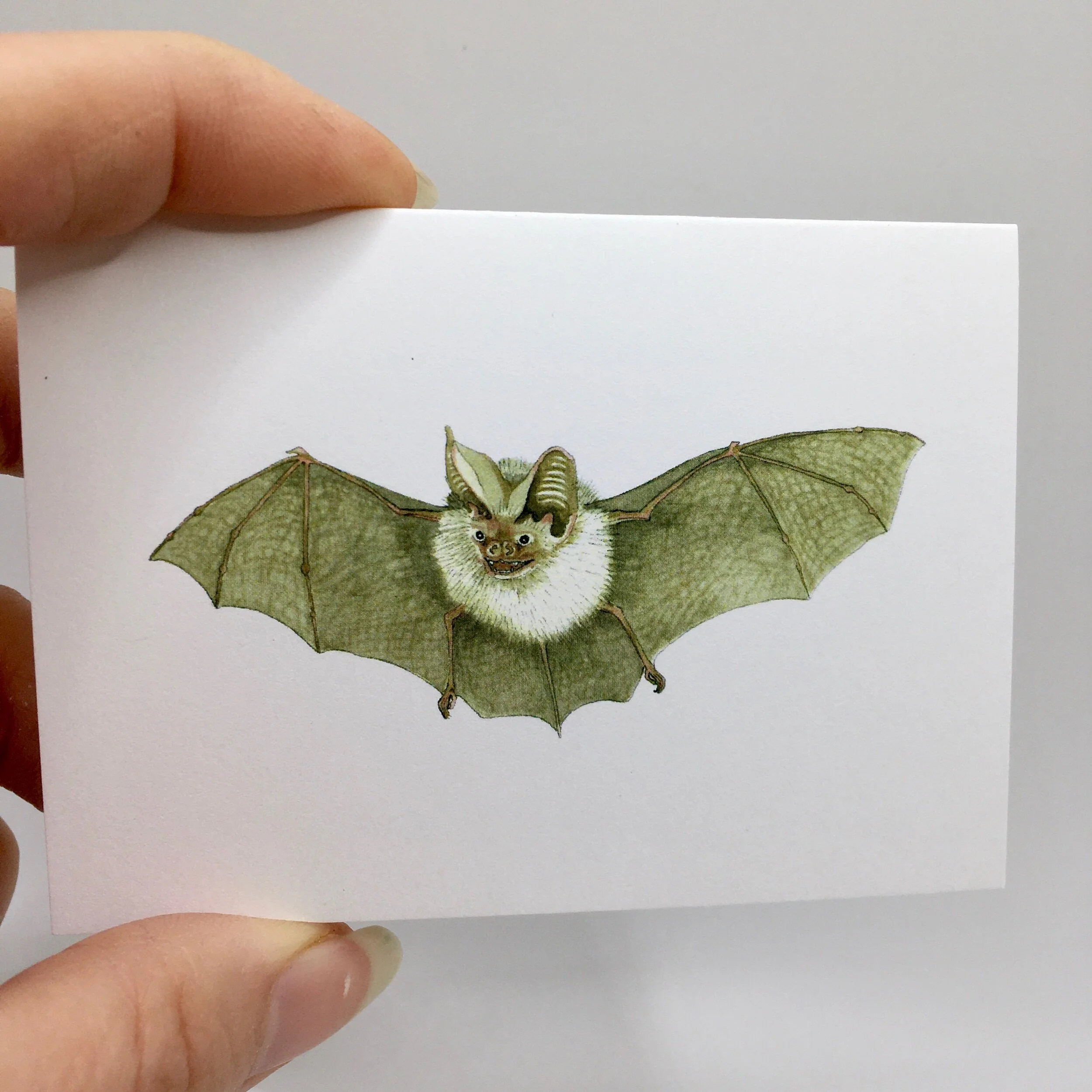 D8CD4789-FBCF-49A8-8255-59F6242FC64C