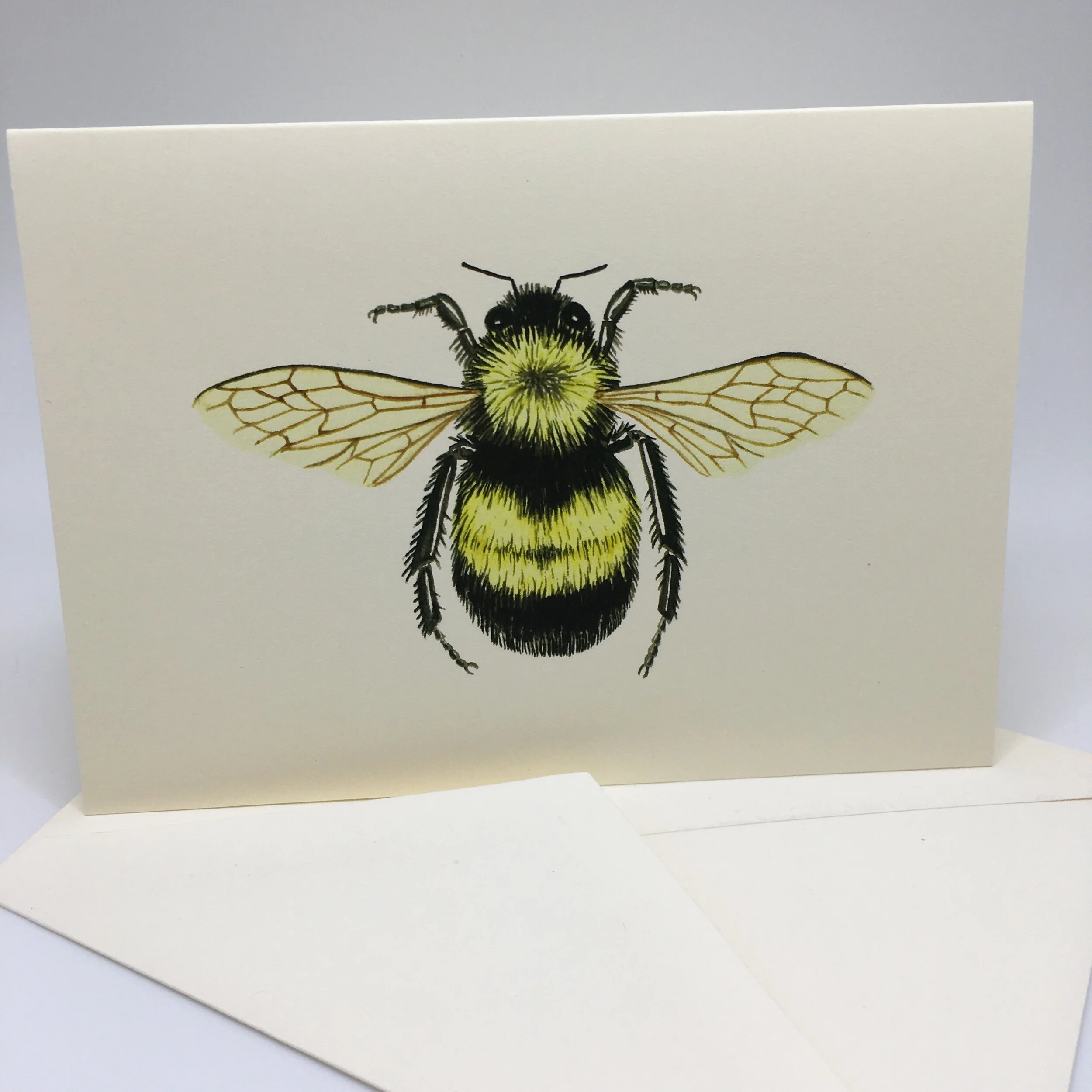 CF62A8E5-9F88-4C6B-8BA6-639A0FA4AAF0