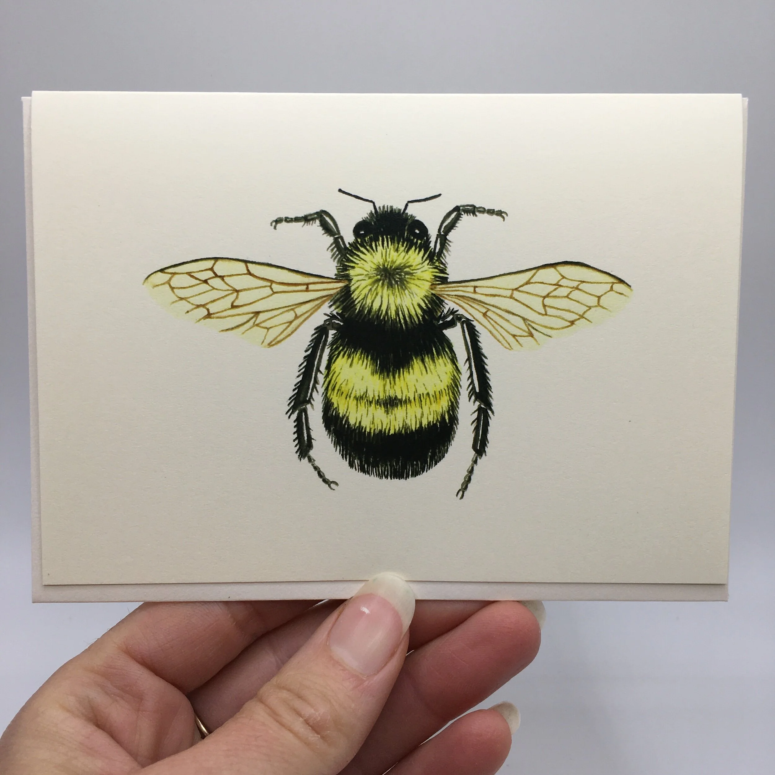 B22774D4-7CDD-4FA5-9894-7A83BCEA86D6