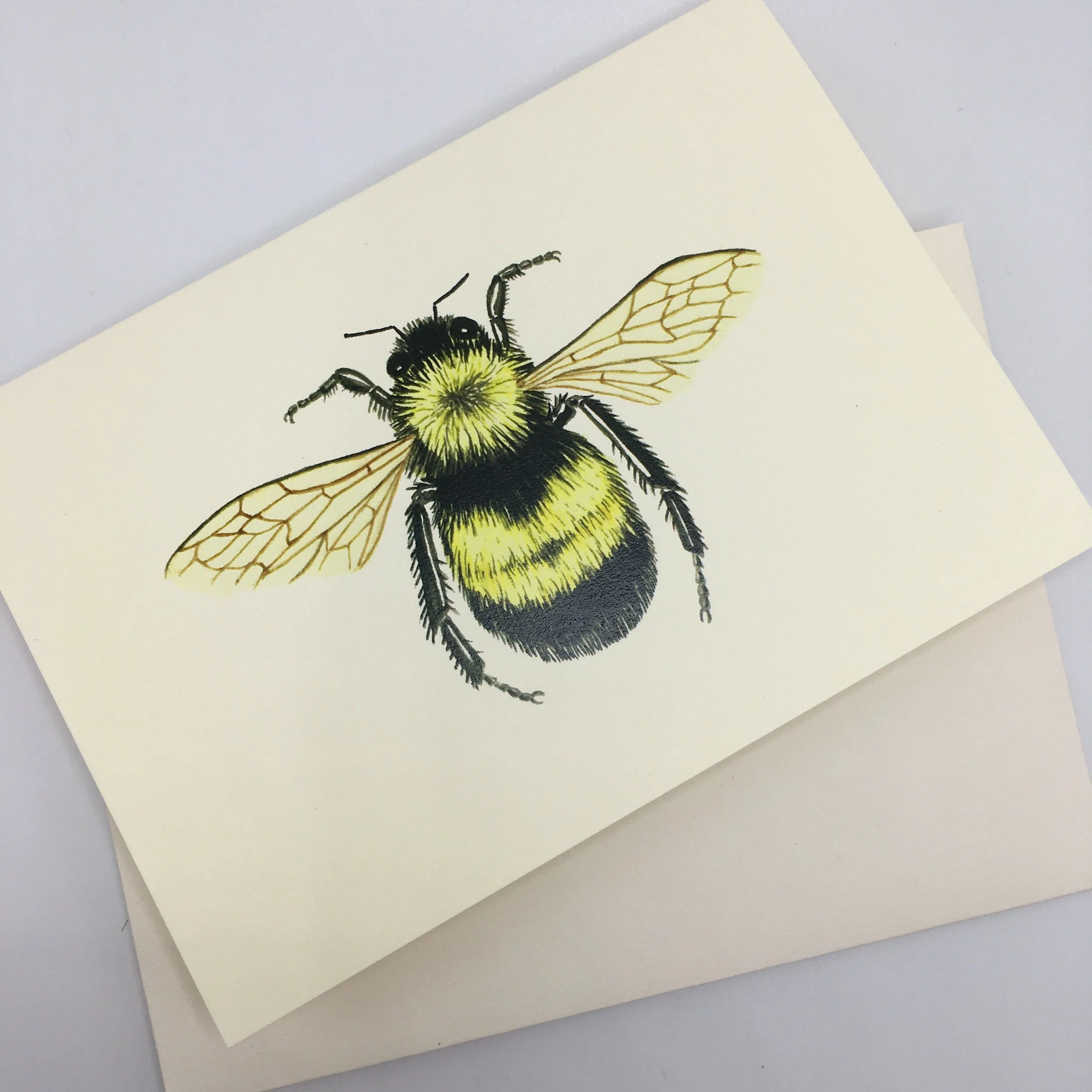 D94D81C6-F418-4966-9327-5B5FF8F9F8A3