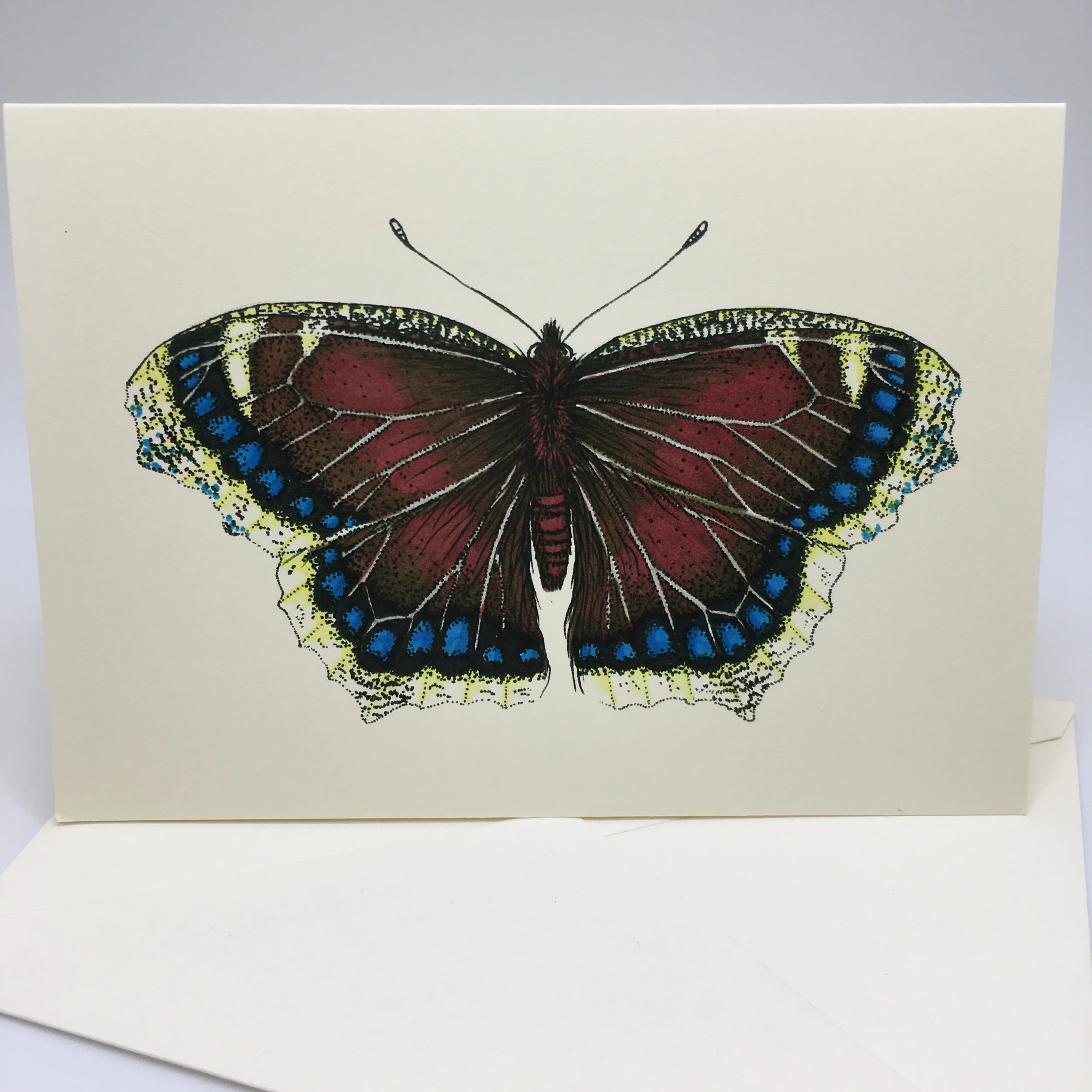 3EEBFC65-B119-43D2-8ED5-8A2BCD352E7D