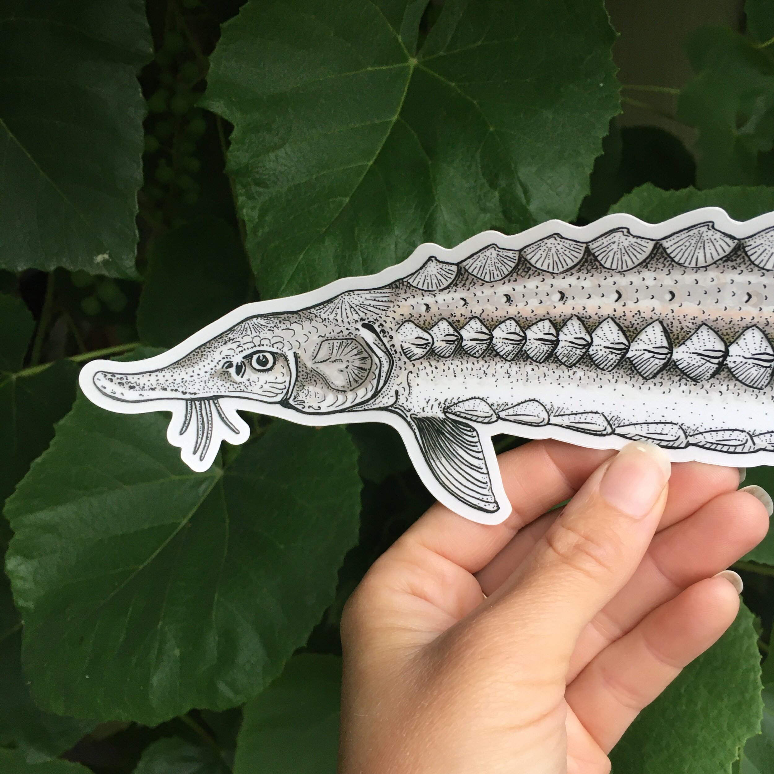 AB90C524-29BE-4E1A-B0FF-3337A6707031