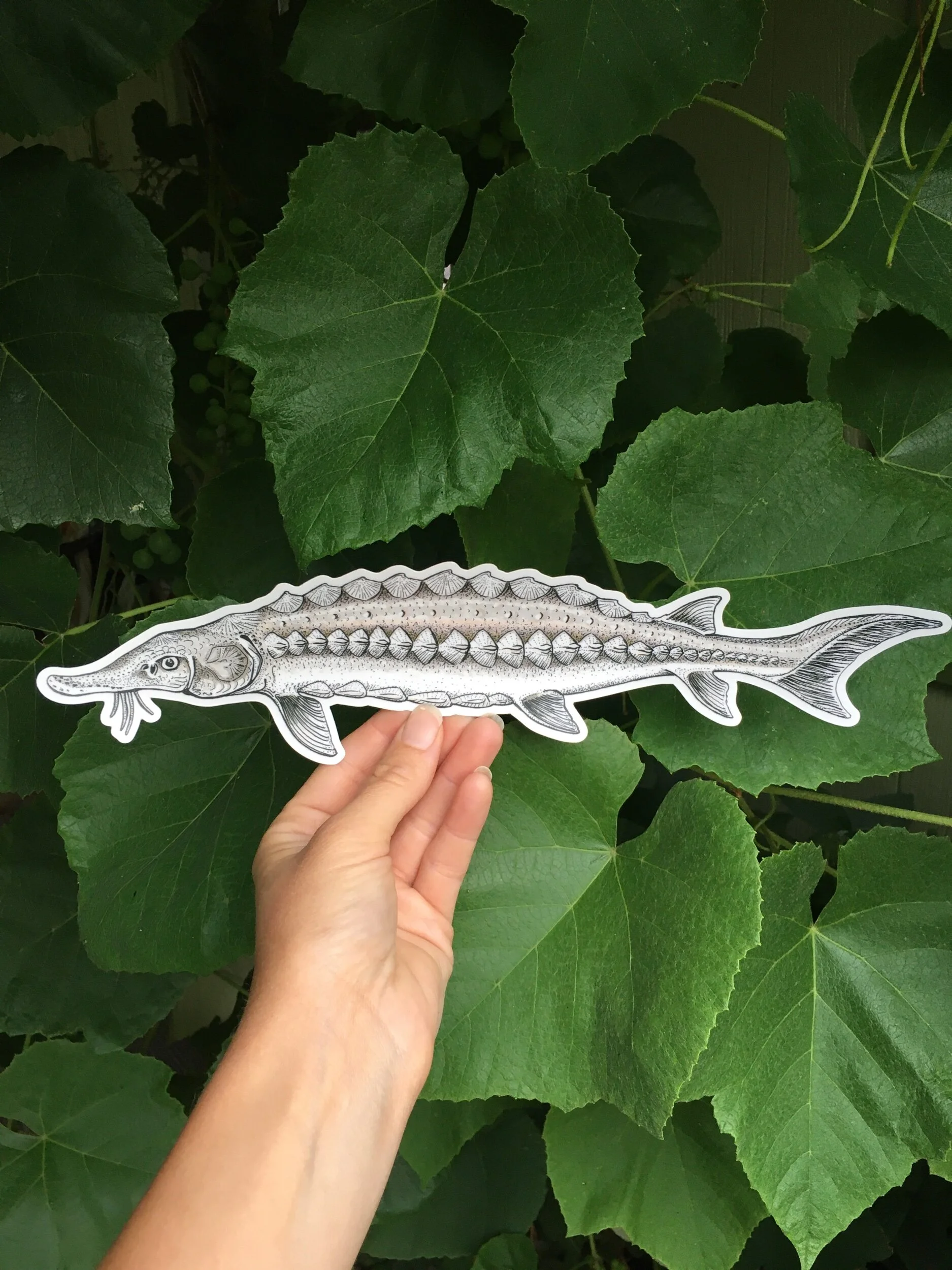 9D15CE3A-A8D0-4EDA-A796-AFA0F97B79ED