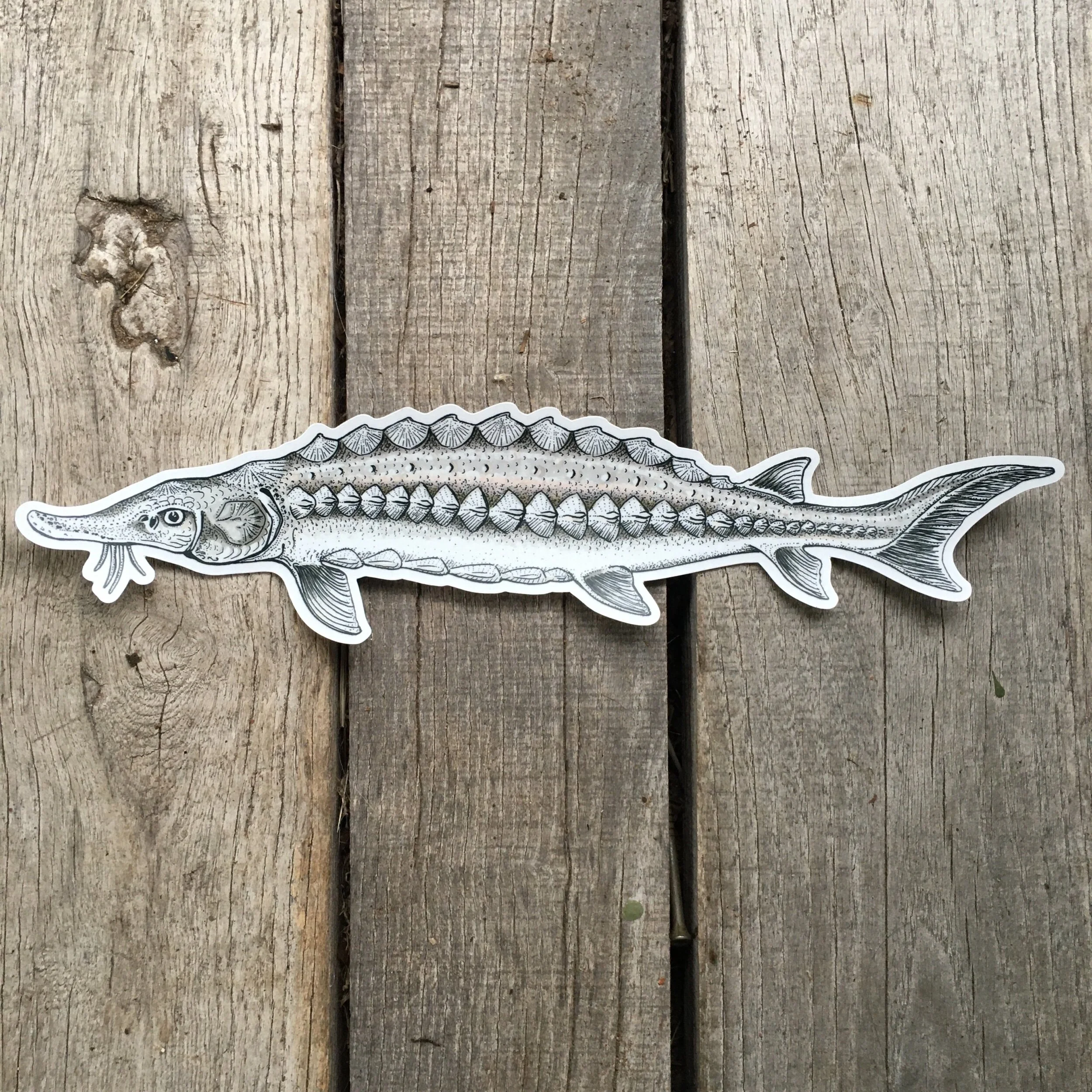 F4A6A9C2-5626-4D2E-836C-B32B066BDBBA