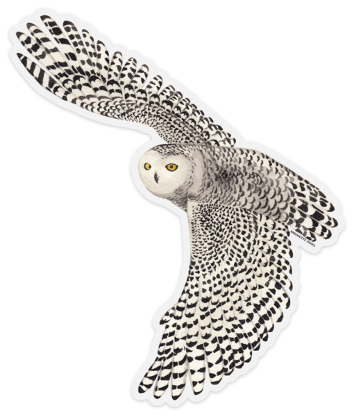 snowy owl sticker.png