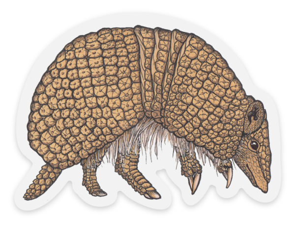 armadillo sticker.png