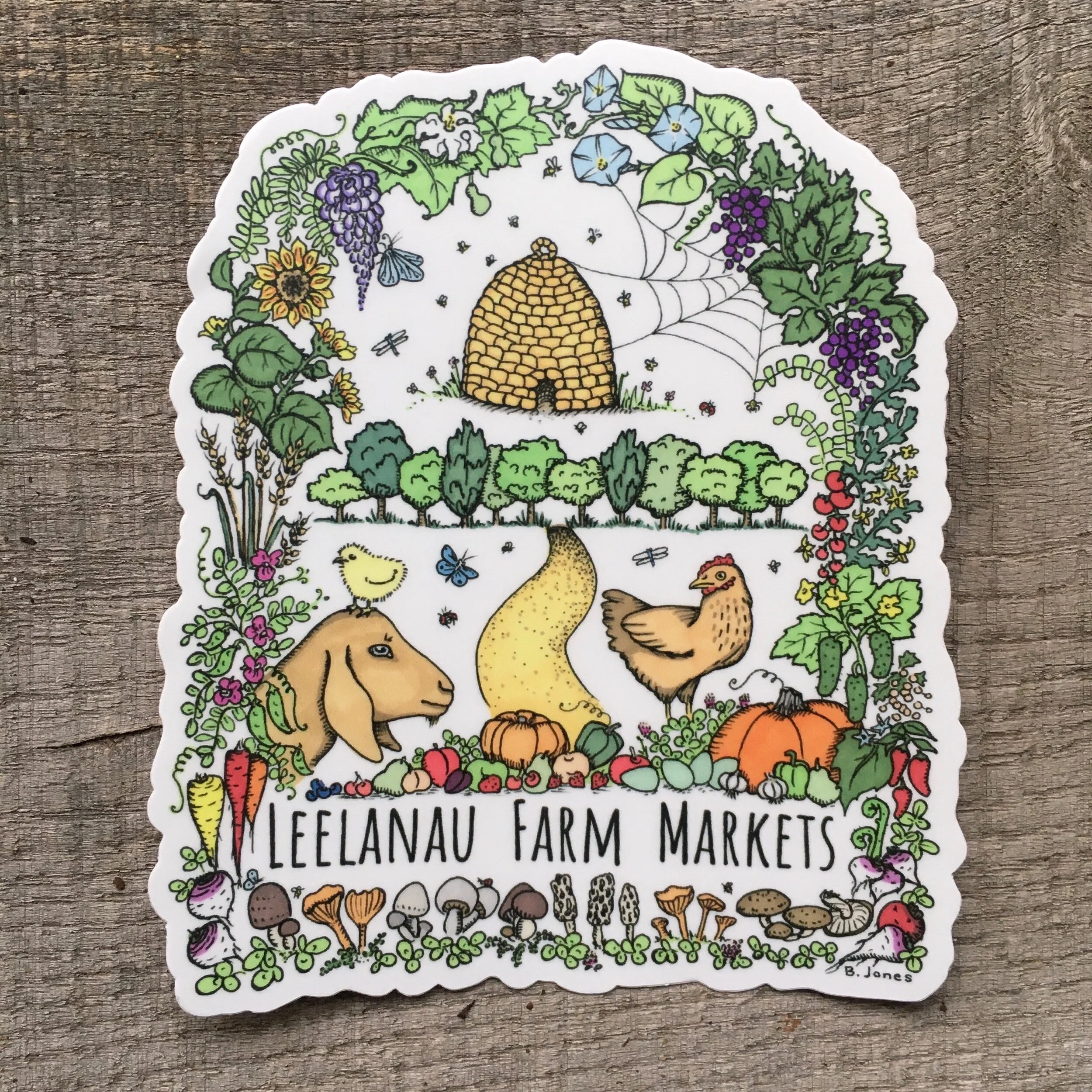 92B799AB-7DC5-469F-B49C-3BC9BB07CBF3