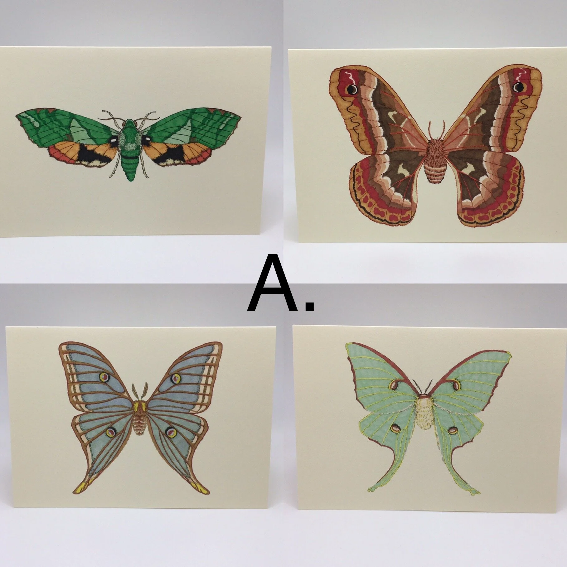 749C6225-0DCA-465F-A5FE-2DBD39183D68