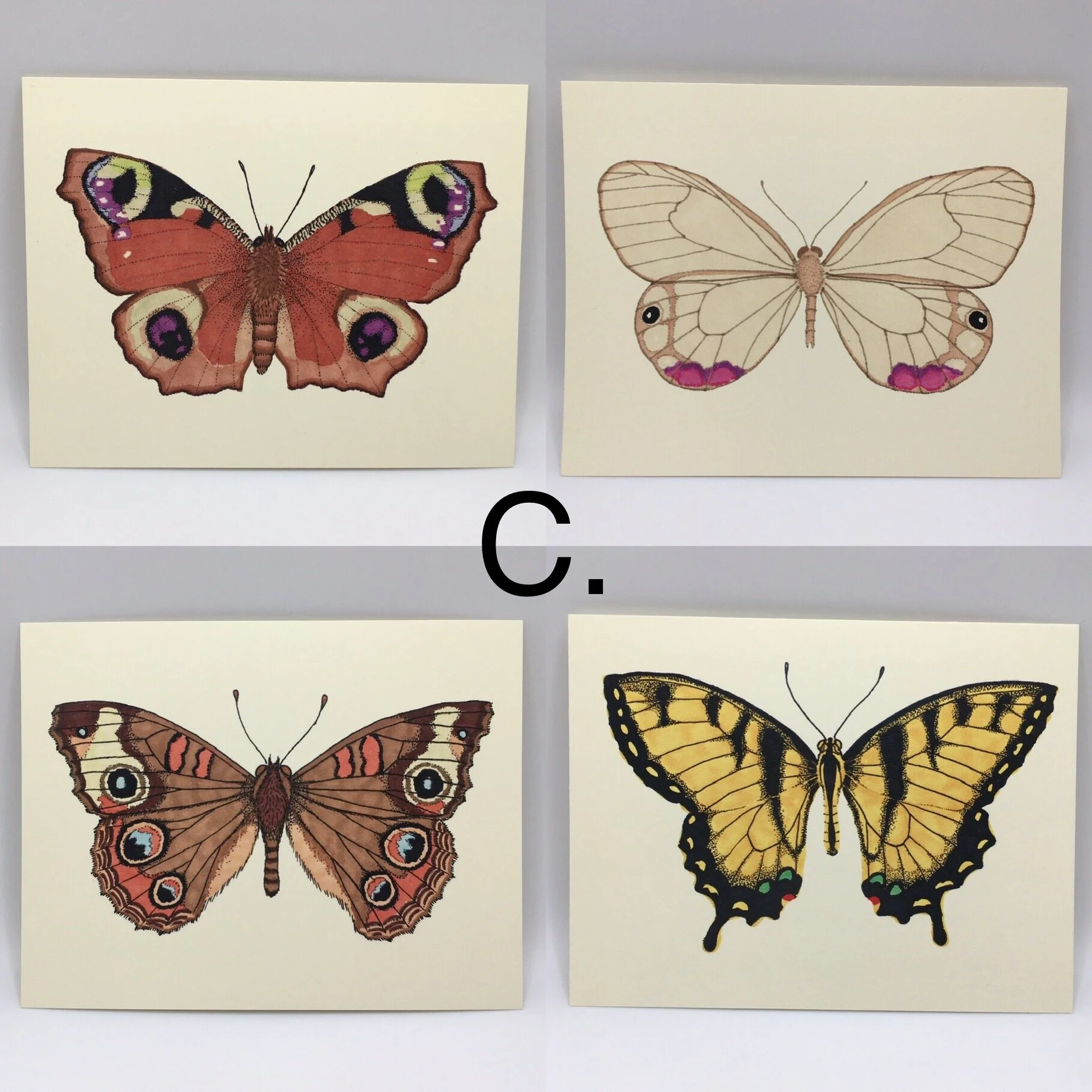 D69234DB-B281-4F6A-B14F-FF035E769B24