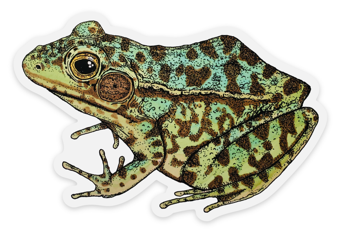 sticker blue leopard frog.png