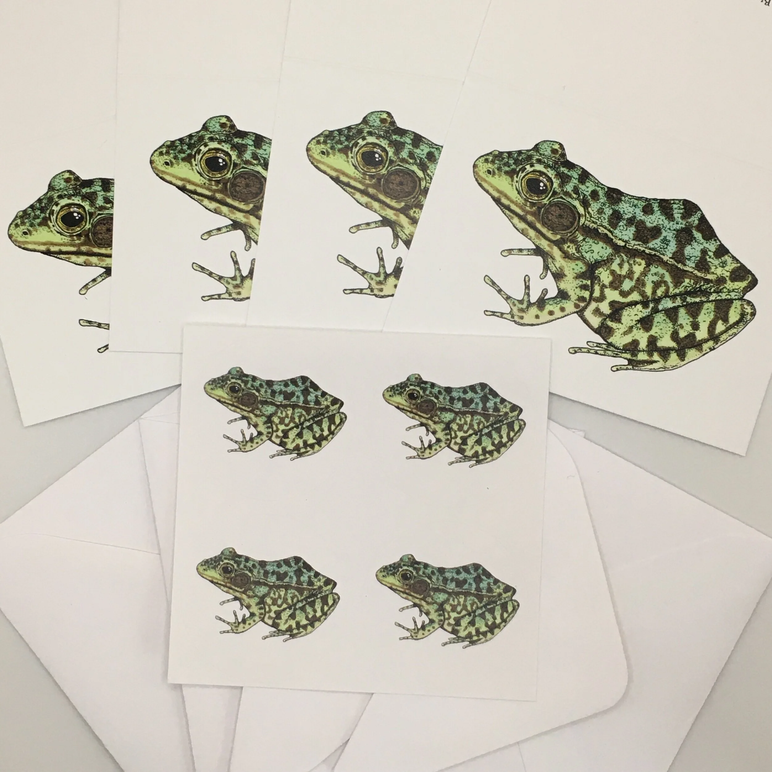 8BEC95AE-D023-43B4-B2B0-C9354E4D9CA3