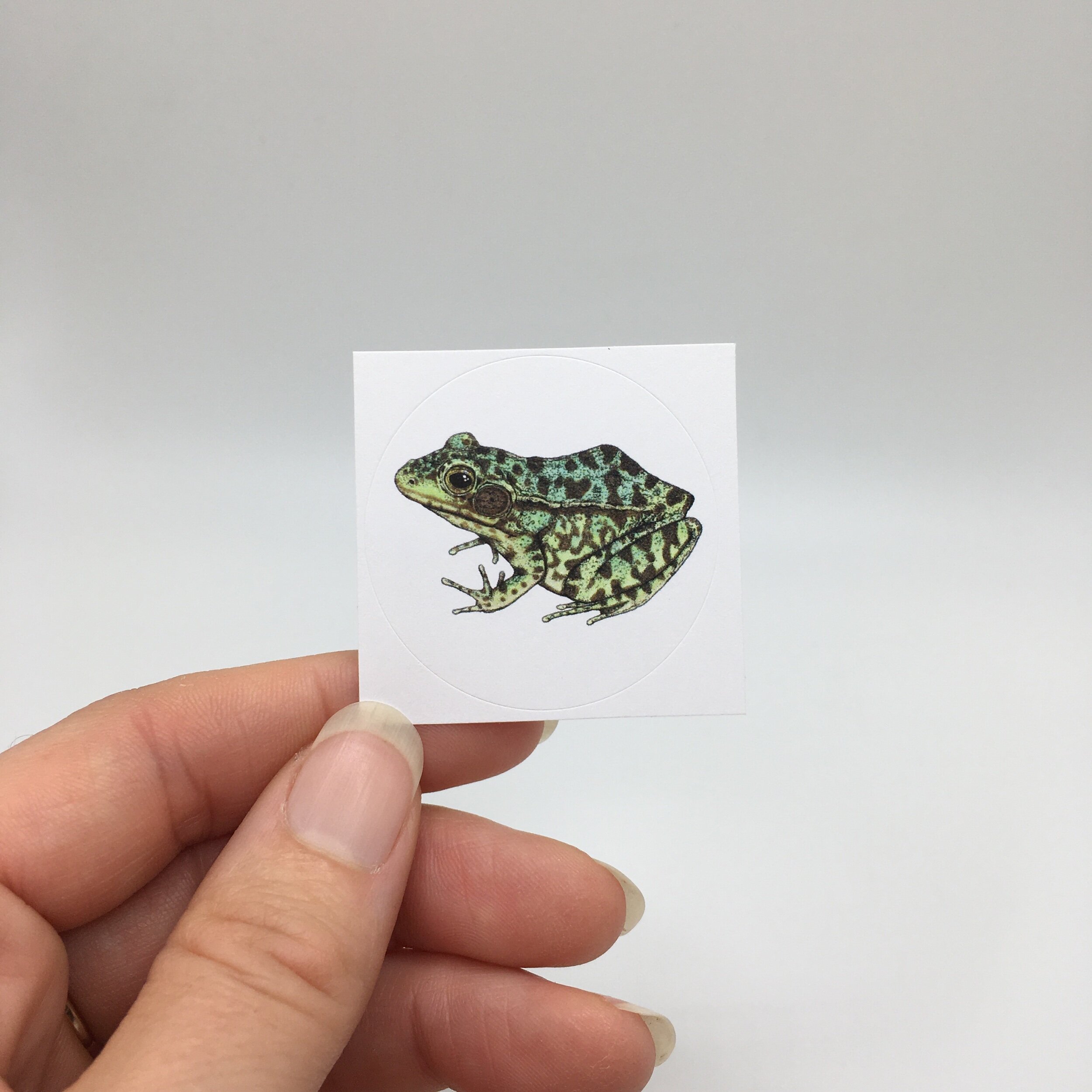 7693BCF5-965D-42D5-A674-72D3463E2BF4