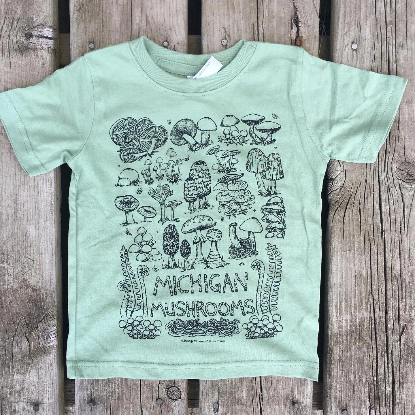 9AAE6367-F748-4894-9780-EDB28C94C0B1