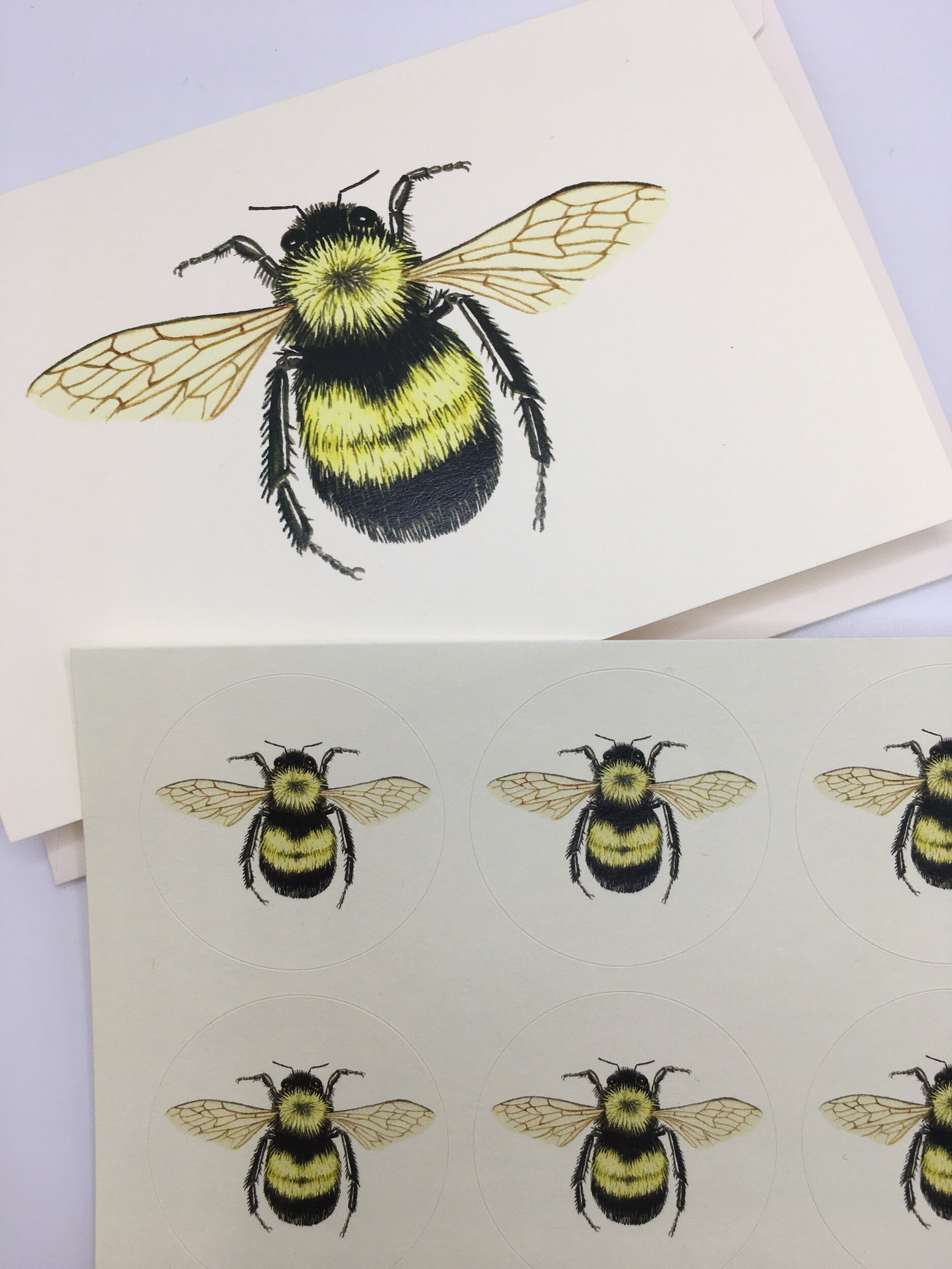 A1E42F85-8935-465D-9C45-9B6416112917