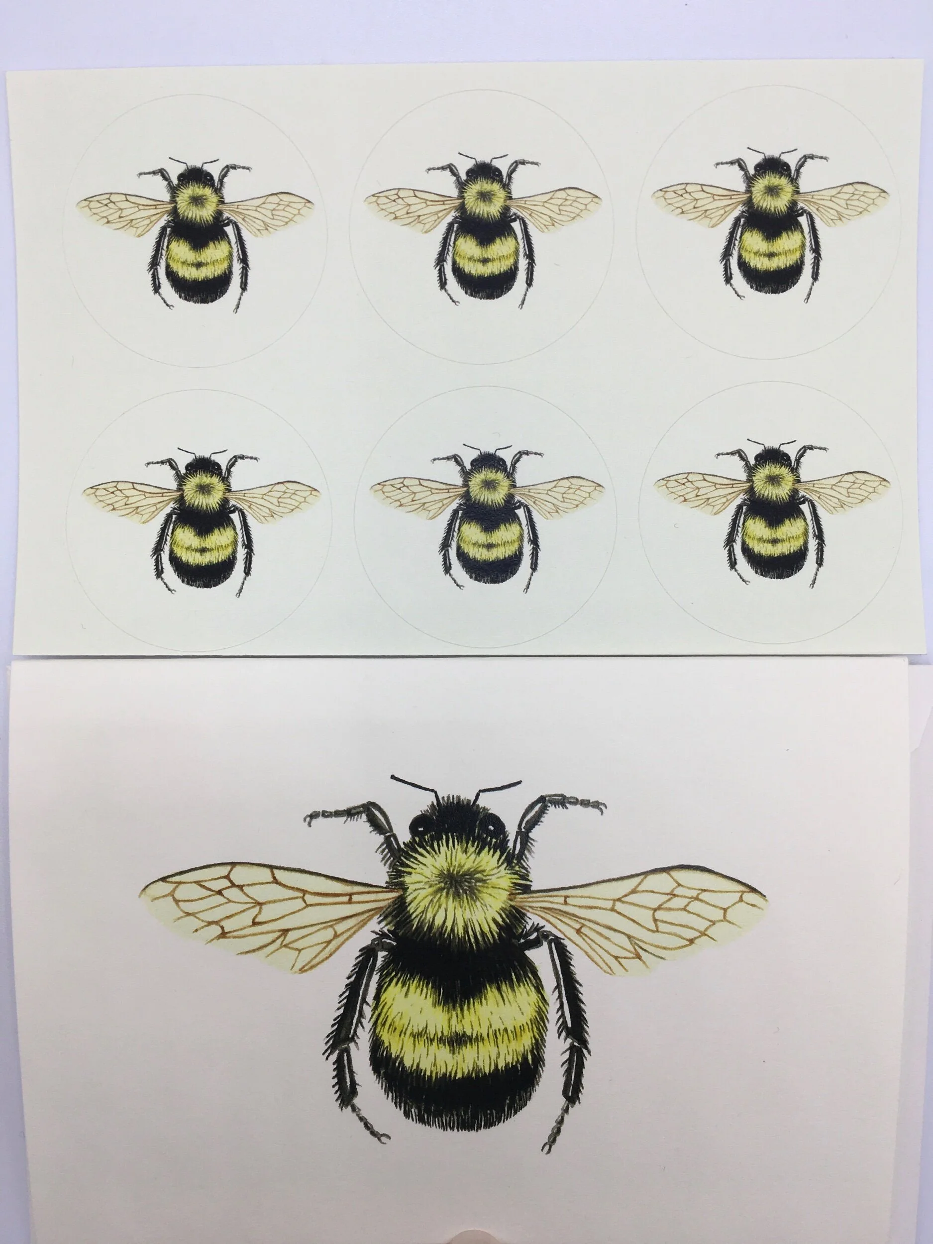 36DB8697-3F57-468D-88ED-7D6545E2E18C