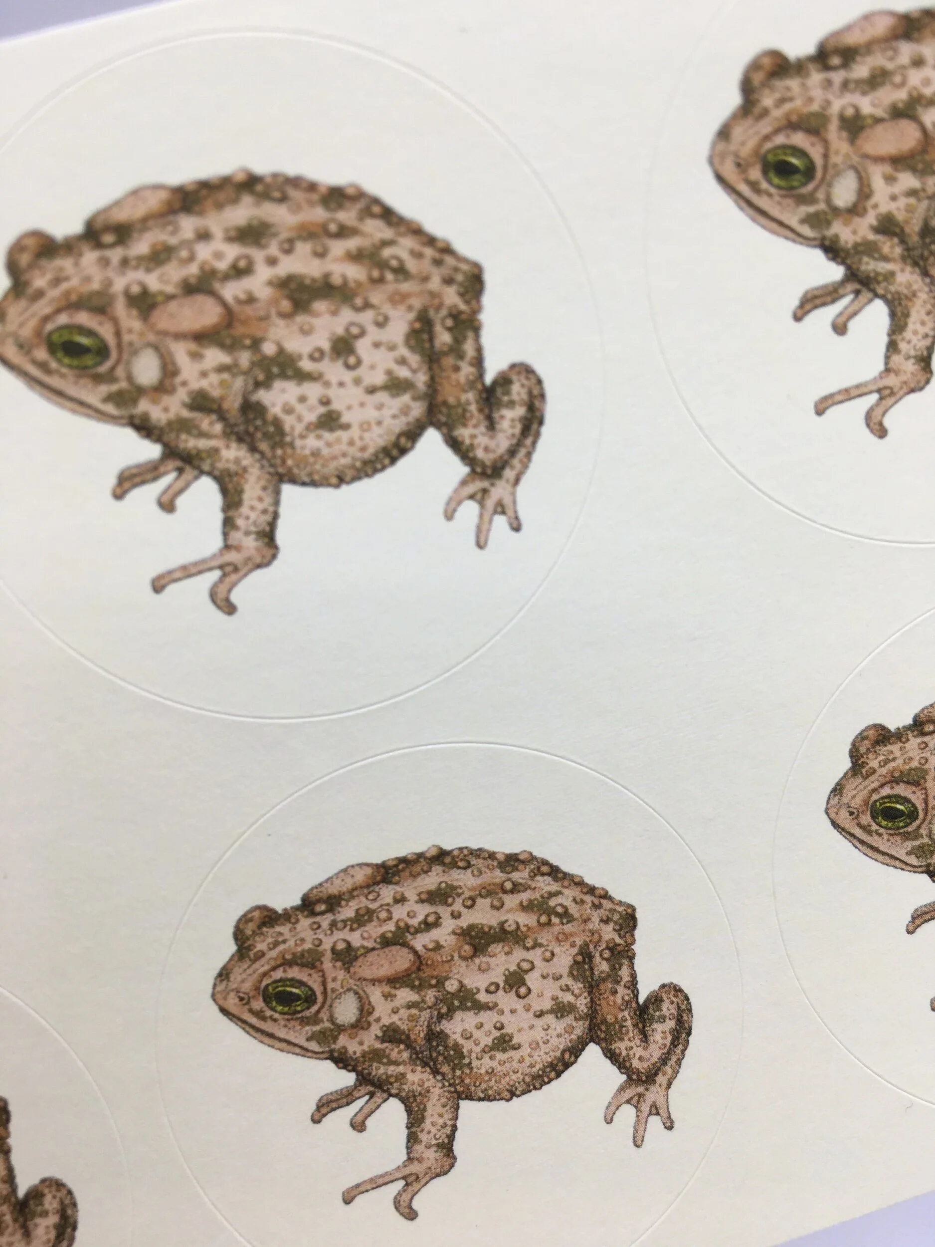 0FF14196-65C0-4B4A-A696-07FC0F42E6A3