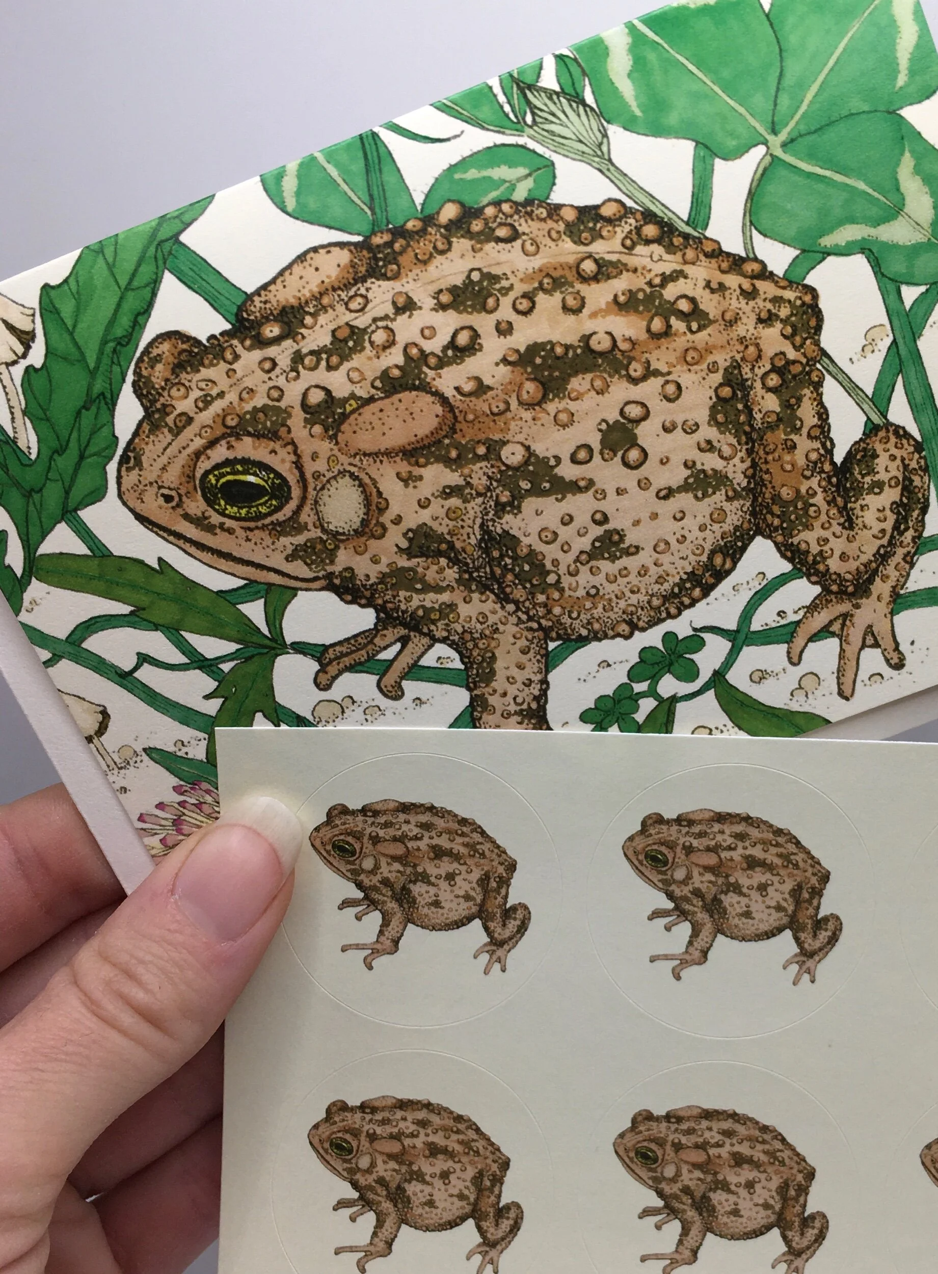 9B8C9FB2-94B6-4980-AD53-38688E8AB5CD