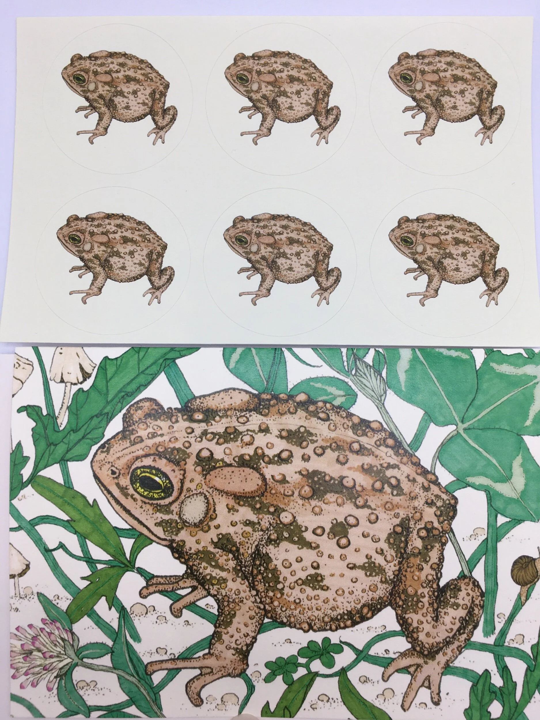 50D105CD-8A4C-4416-96B5-B4AFFF505700