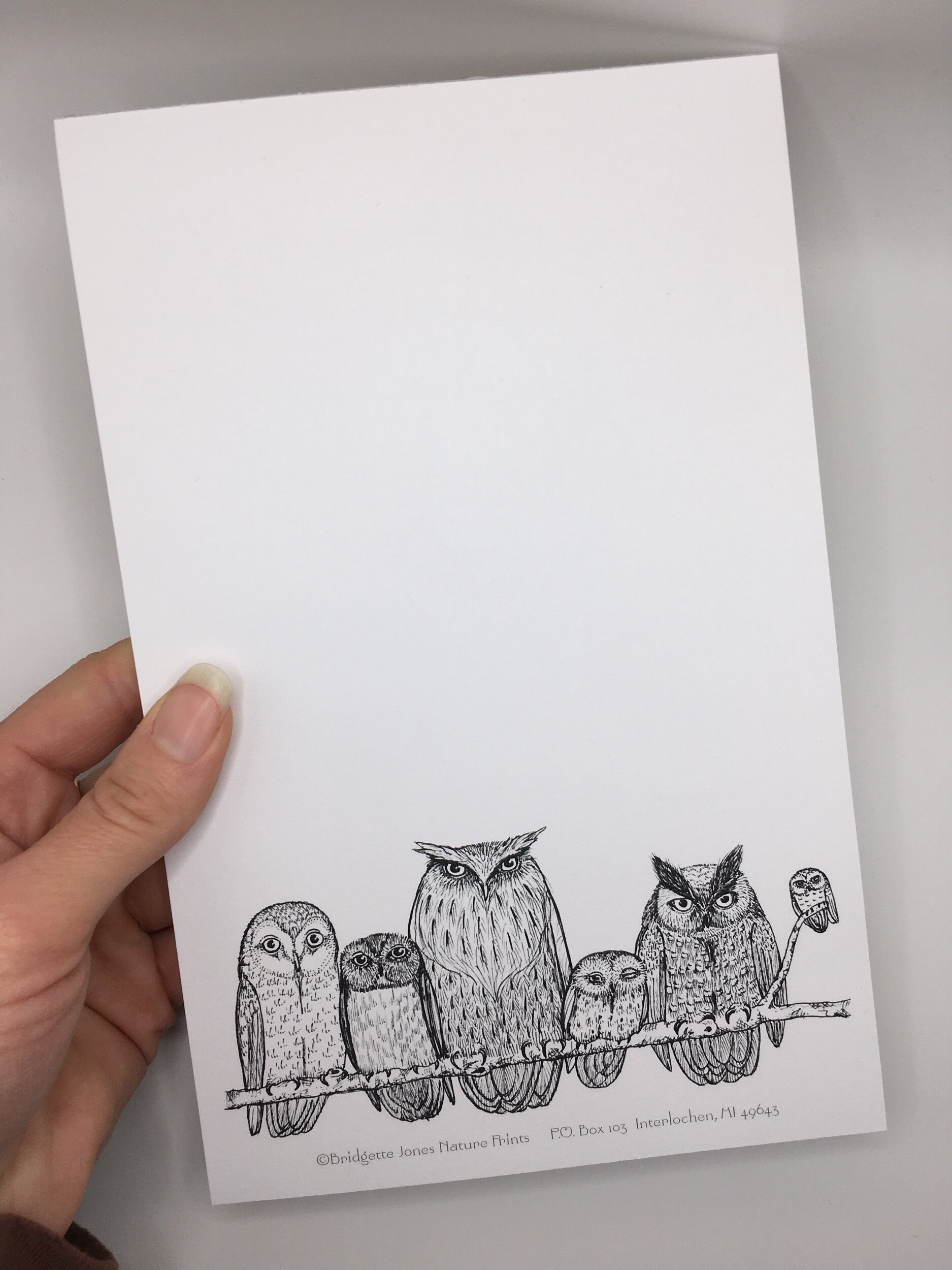 57B36CE2-6A53-48FE-8349-82FA4999C626