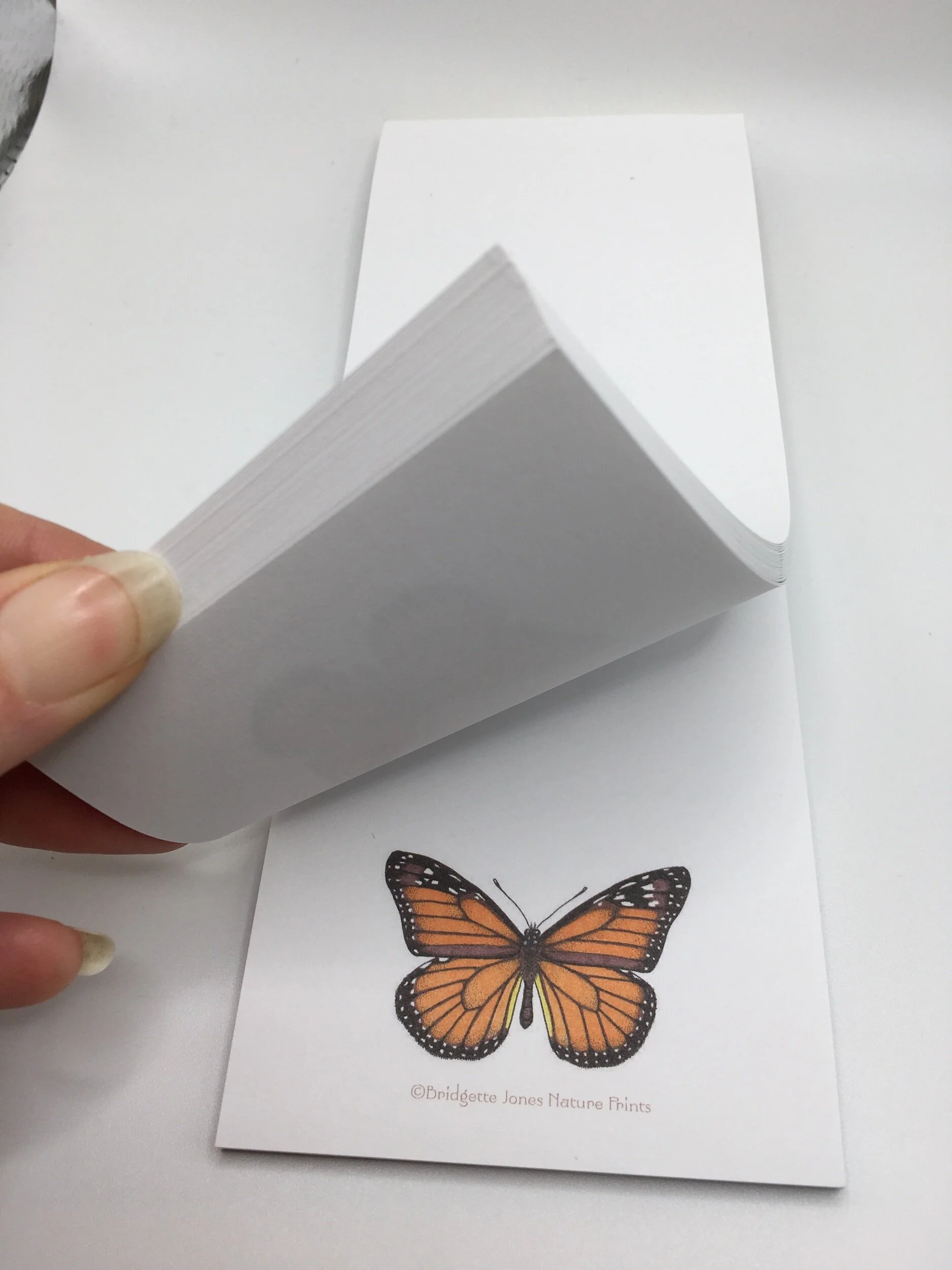 9E511905-6469-4326-AC99-8D9E75175952