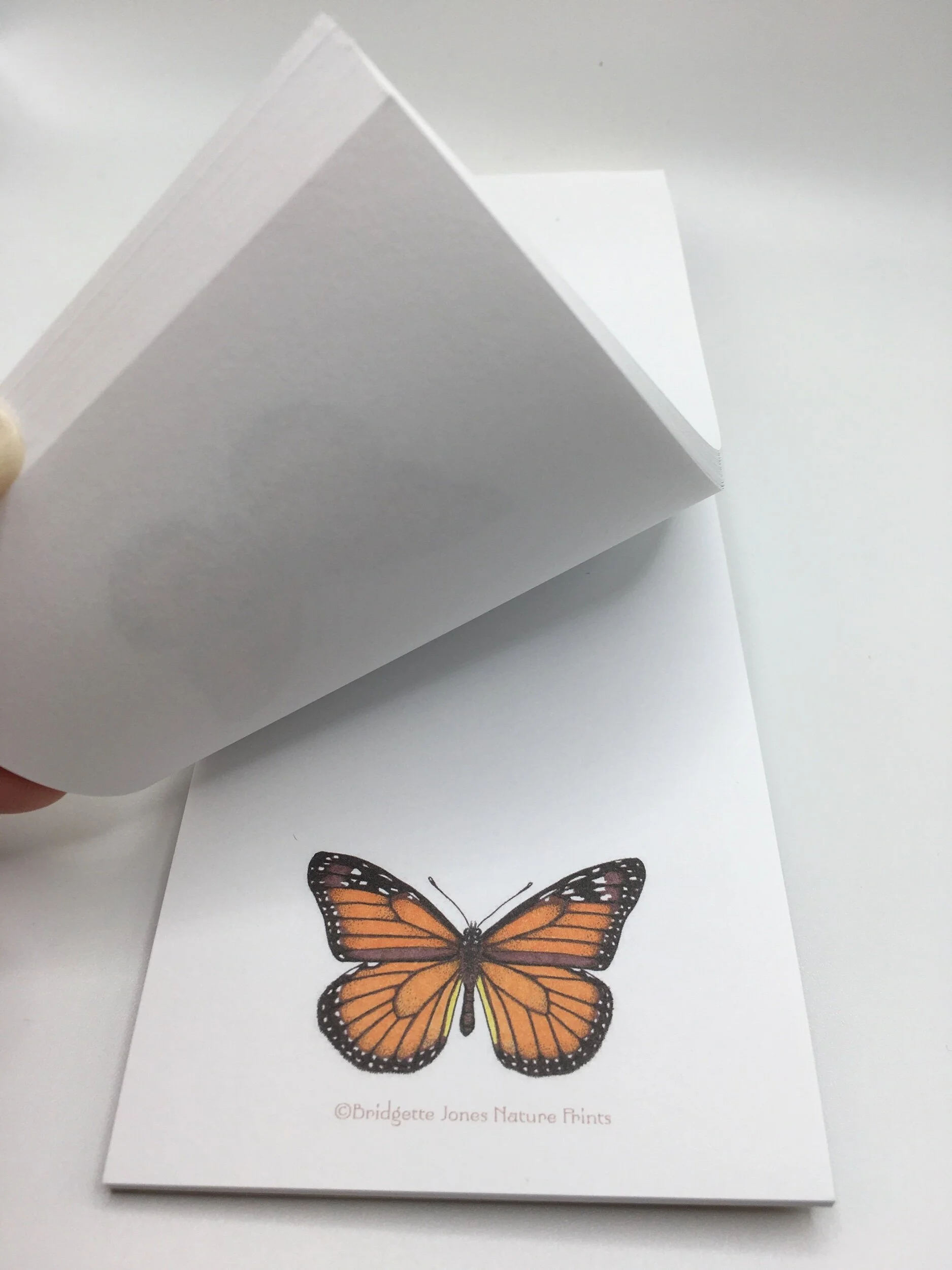 B720C954-F8A5-41F0-8586-2AB084CEECAC