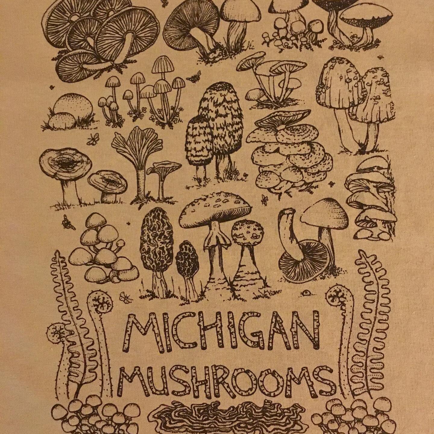 69B4570E-353A-446D-8E21-D4842ADB1E4C