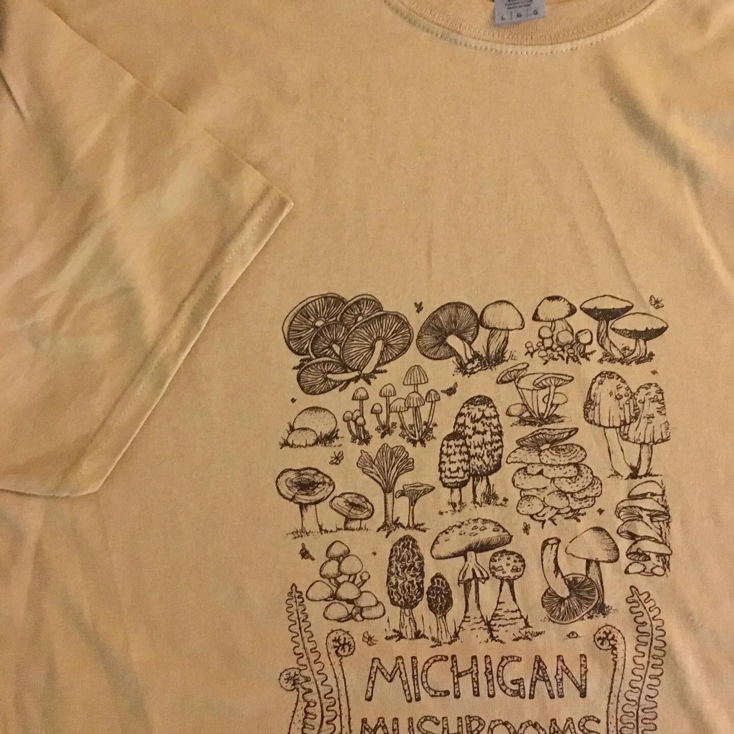 75DAAF04-A5C6-453F-A067-2187B670951F