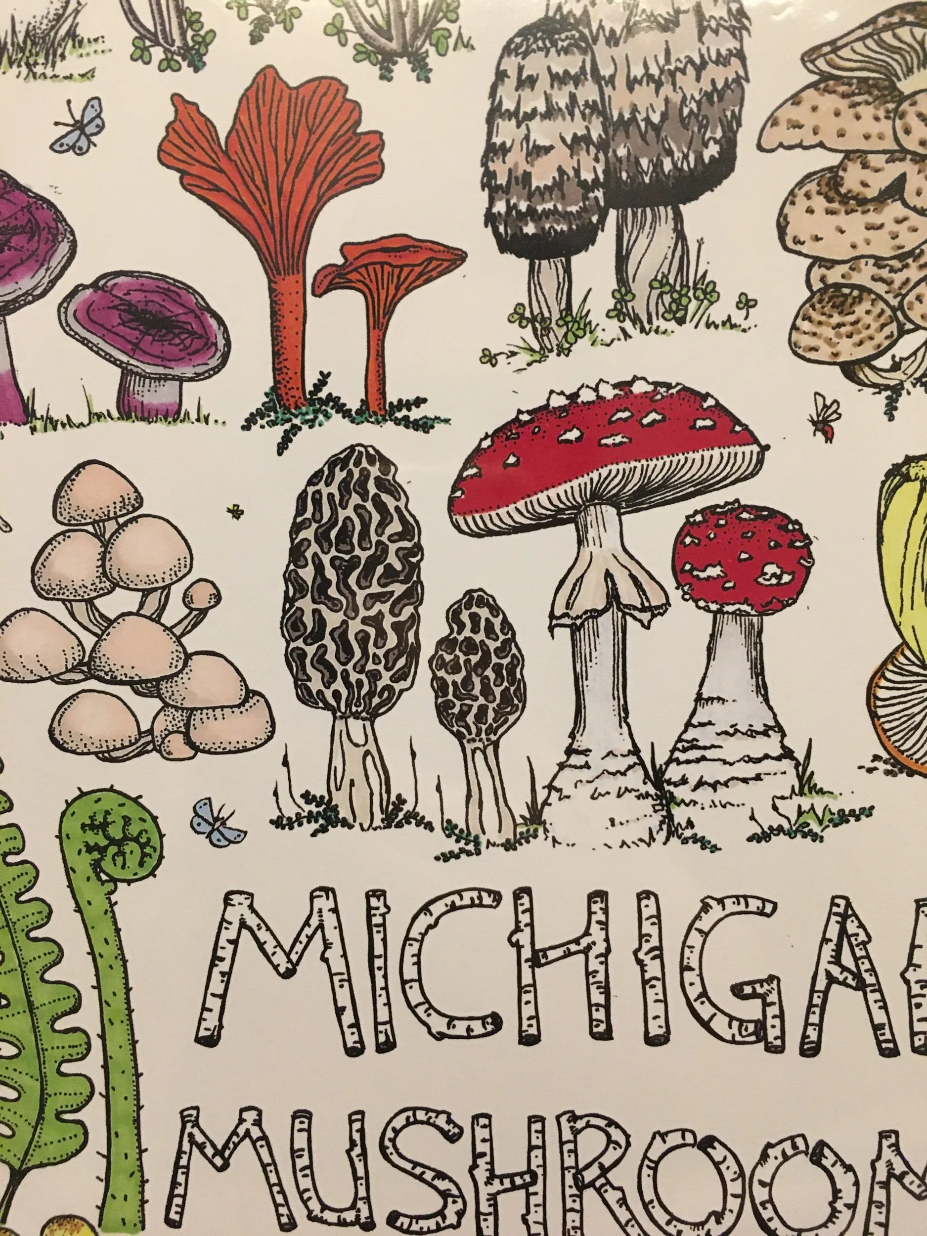 E1A8F615-E53C-40E4-BF69-CEA62909B270