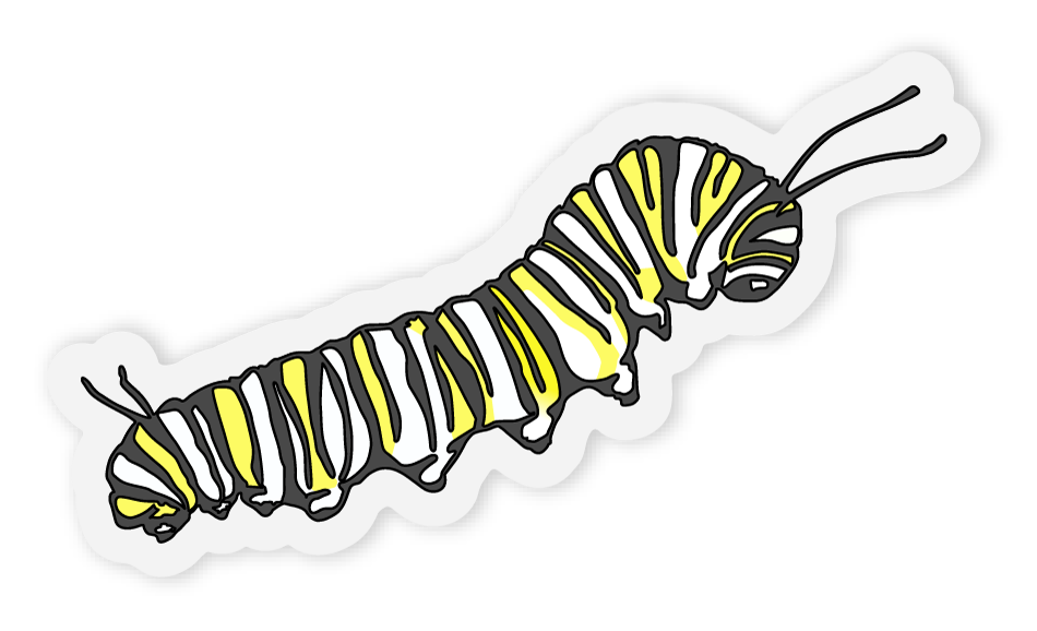 caterpillar.png