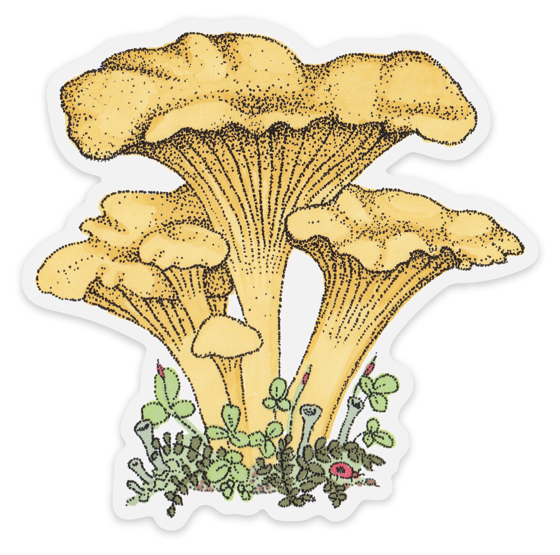 chanterelle sticker.png