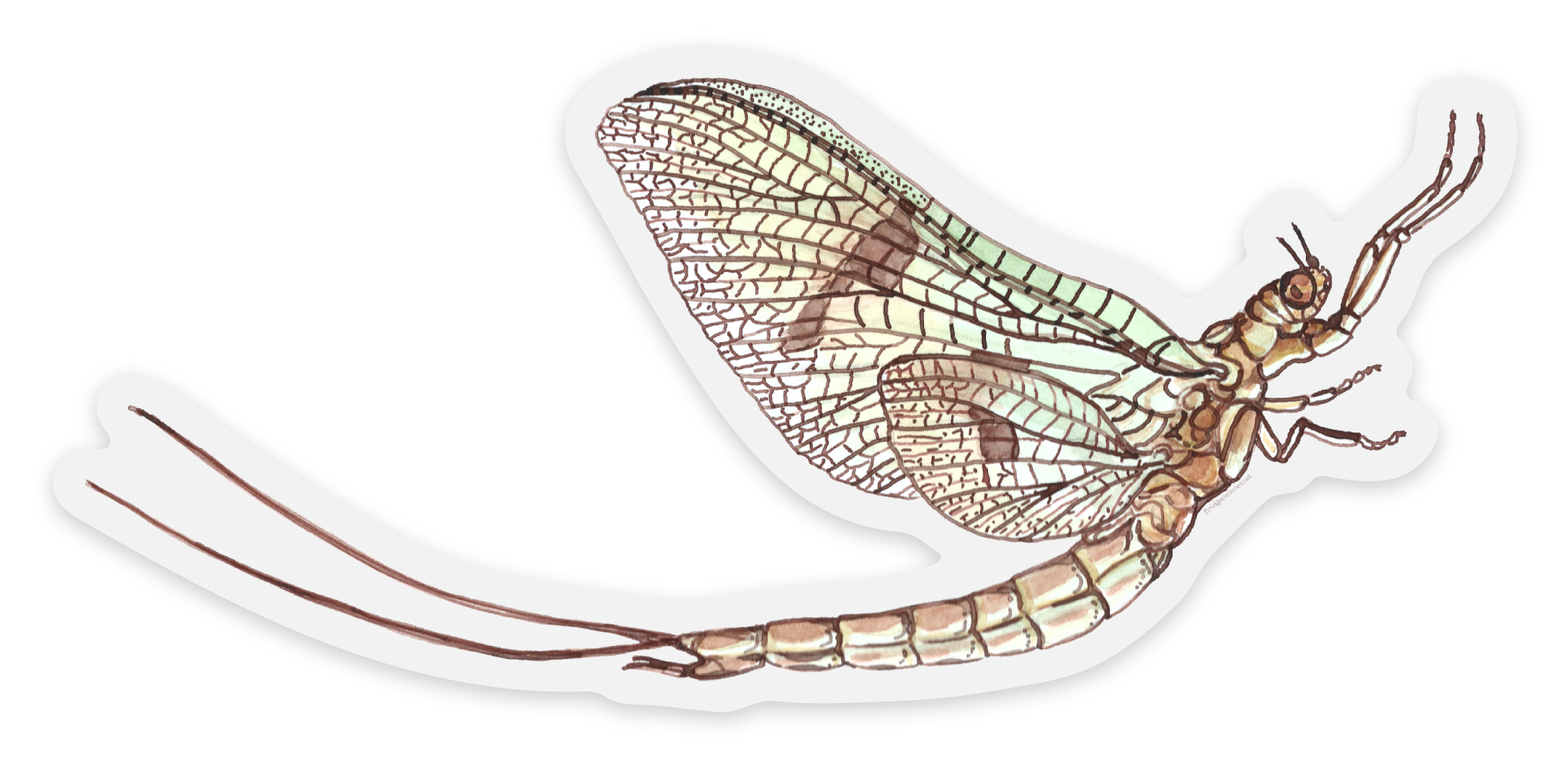 mayflysticker.png