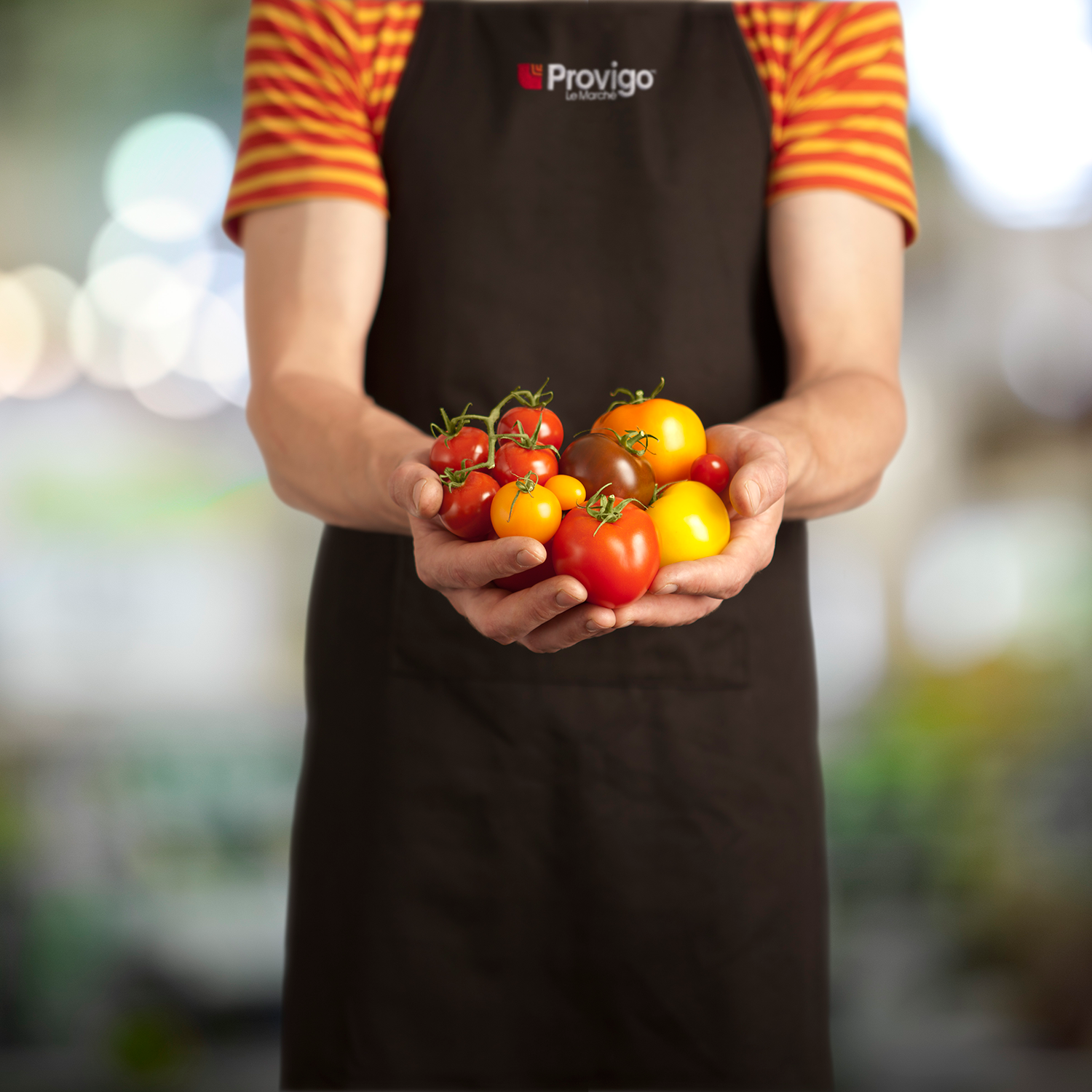 Montage_Tomates_0258_AVANT.png