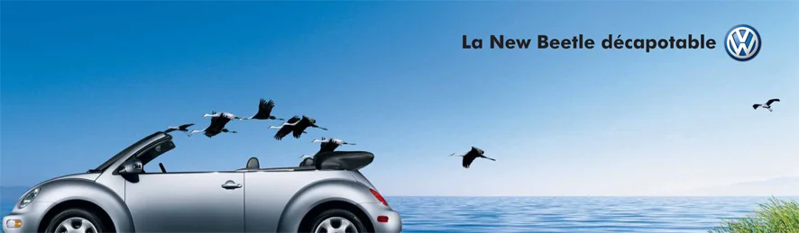 16802_SuperPanneau_Oiseaux.jpg