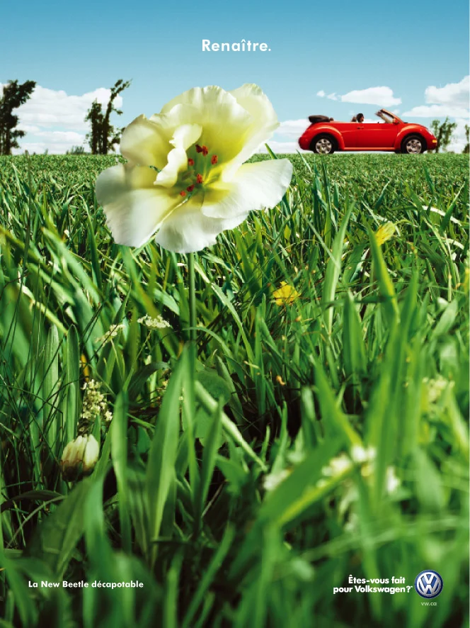 15756_New_Beetle_P3.jpg