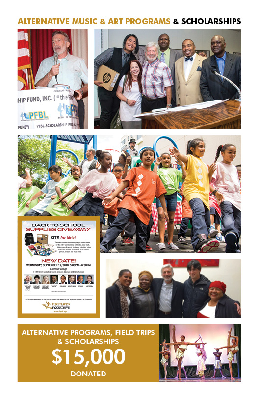 FPSH 2018 Impact Statement7.jpg