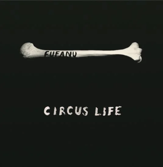Circus Life