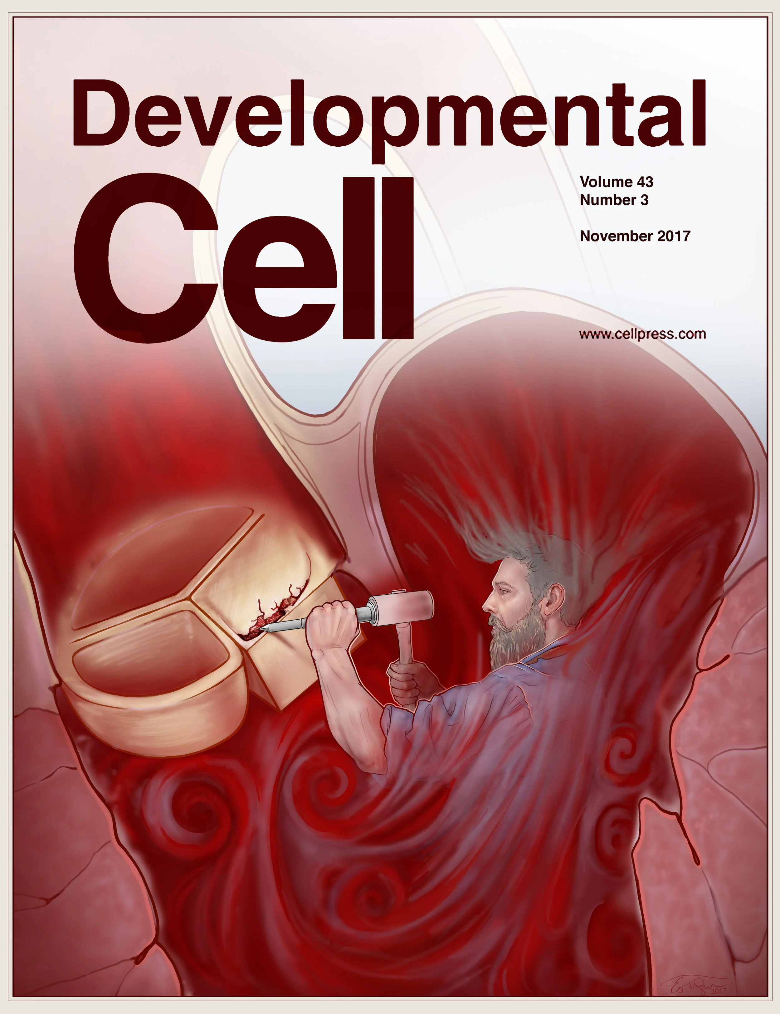 Cover-Cell.jpg