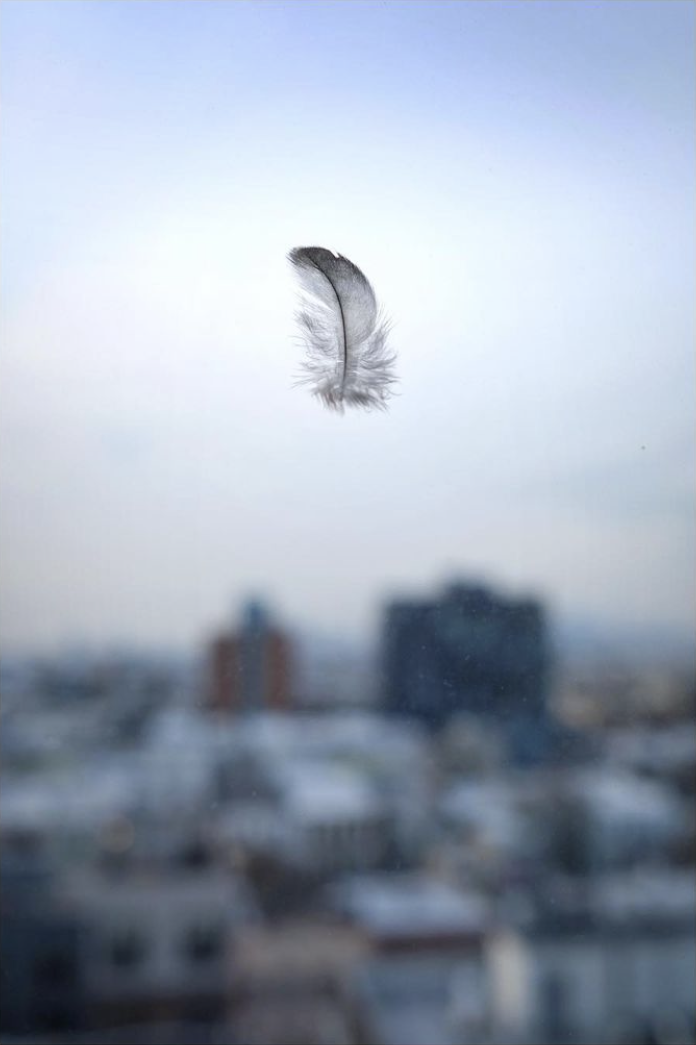 IMG_1944.PNG
